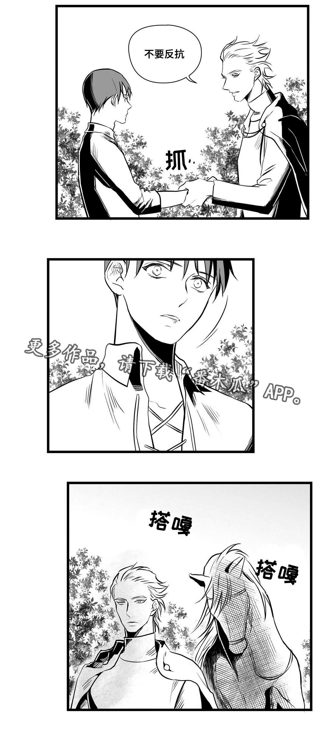 国王与王子的漫画漫画,第27章：犯人15图