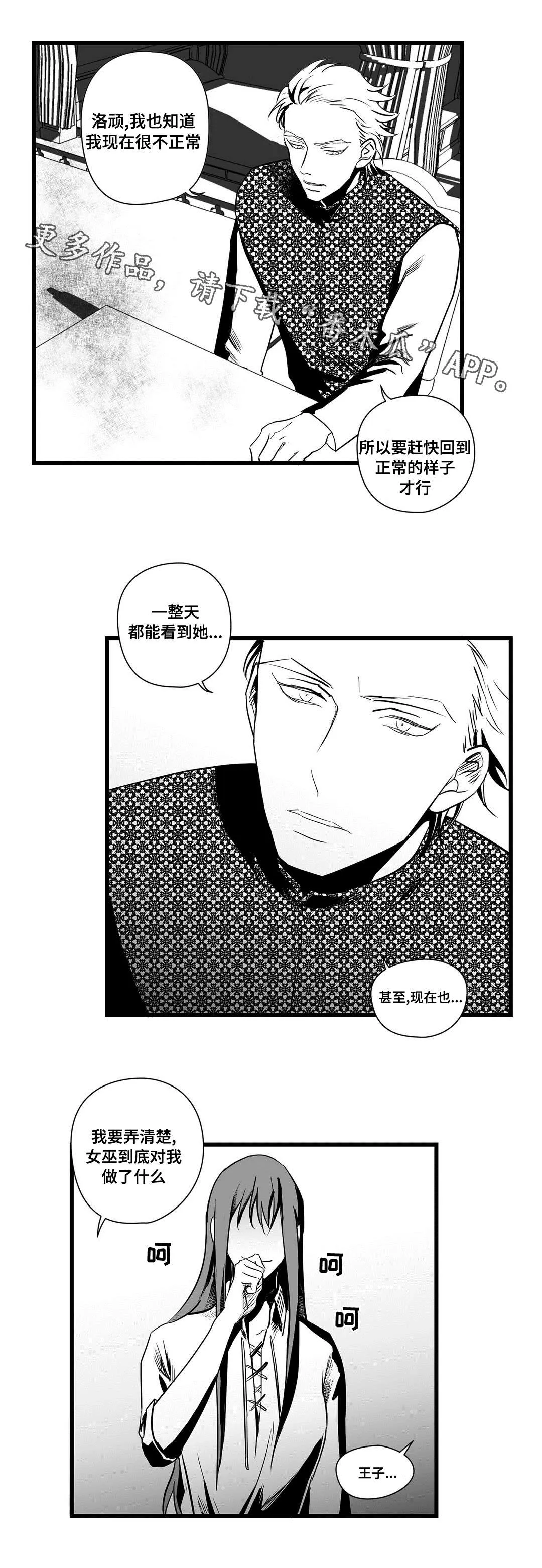 巫师与王子漫画漫画,第22章：确认14图