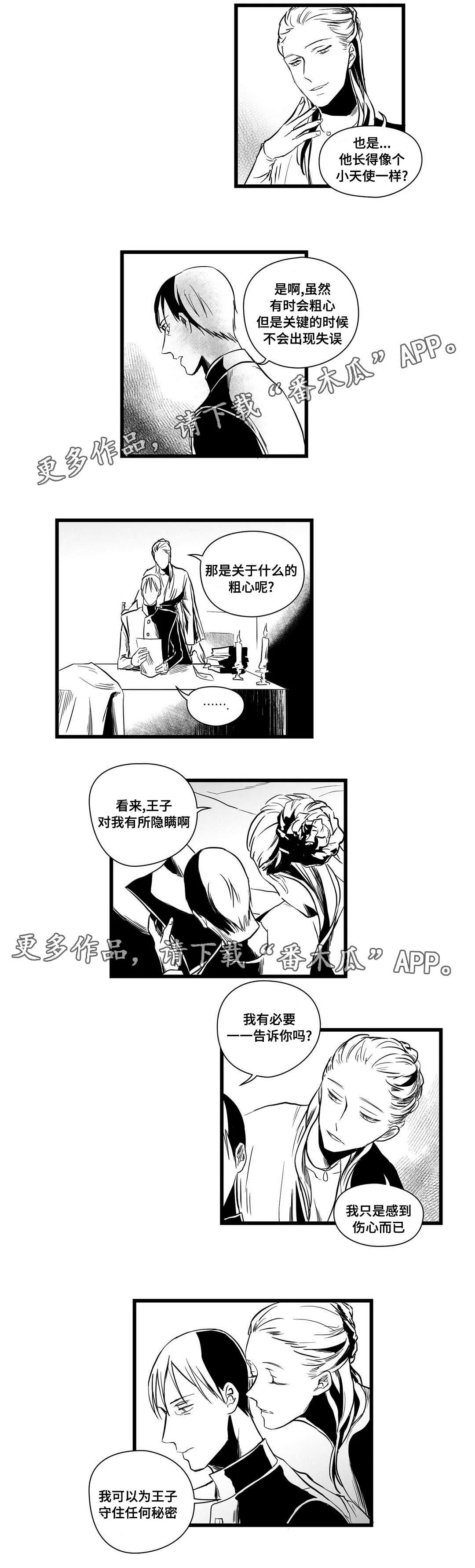 巫师与王子漫画漫画,第11章：秘密9图