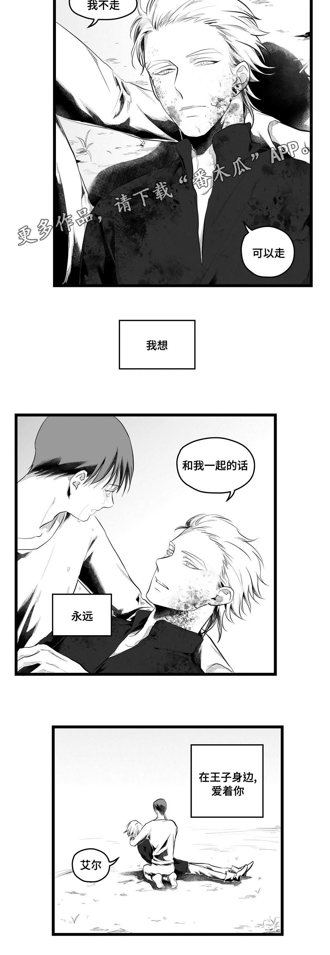 王子与巫师的二三漫画,第90章：得失10图