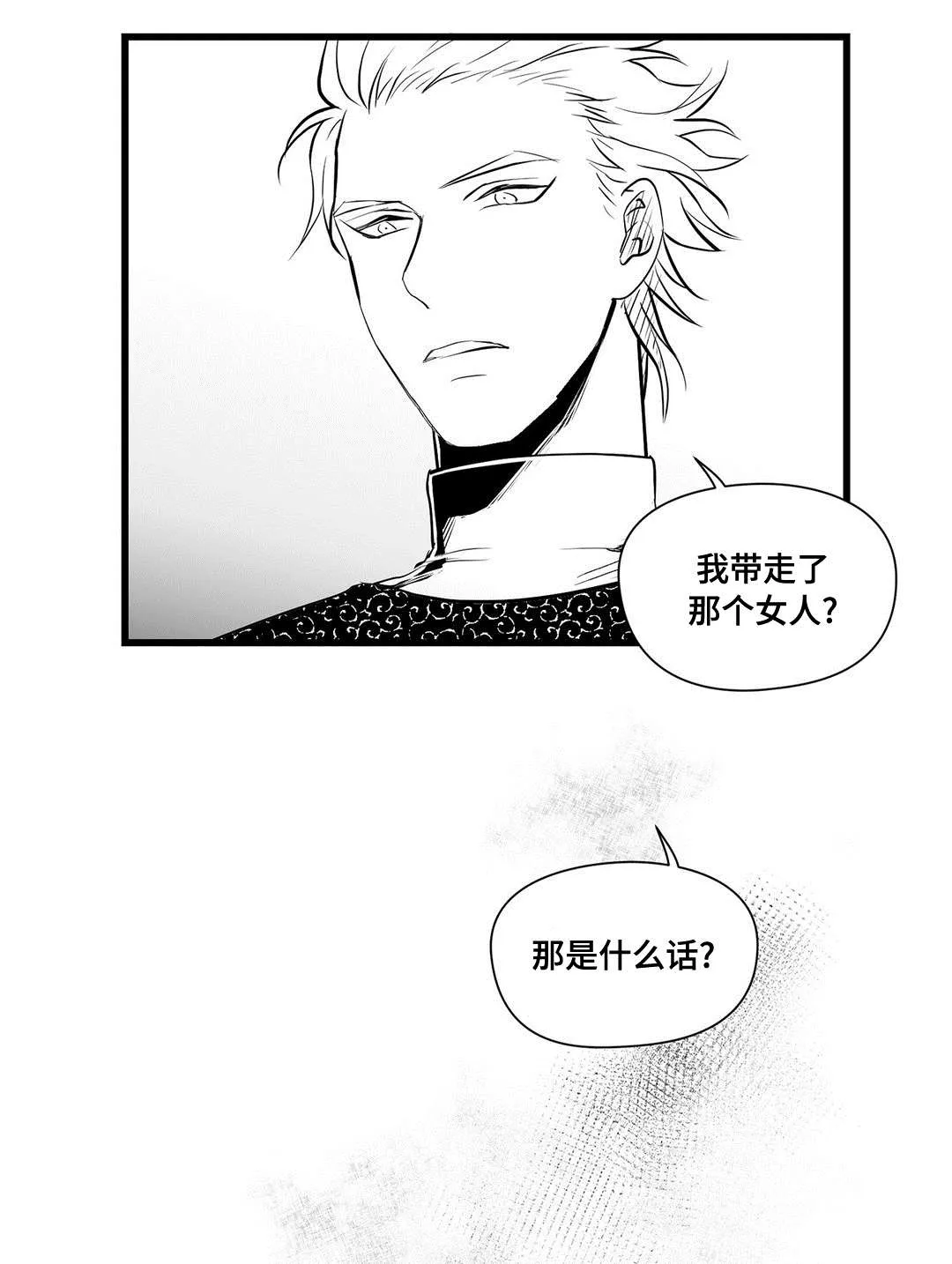 巫师与王子的二三事漫画,第32章：猜想21图