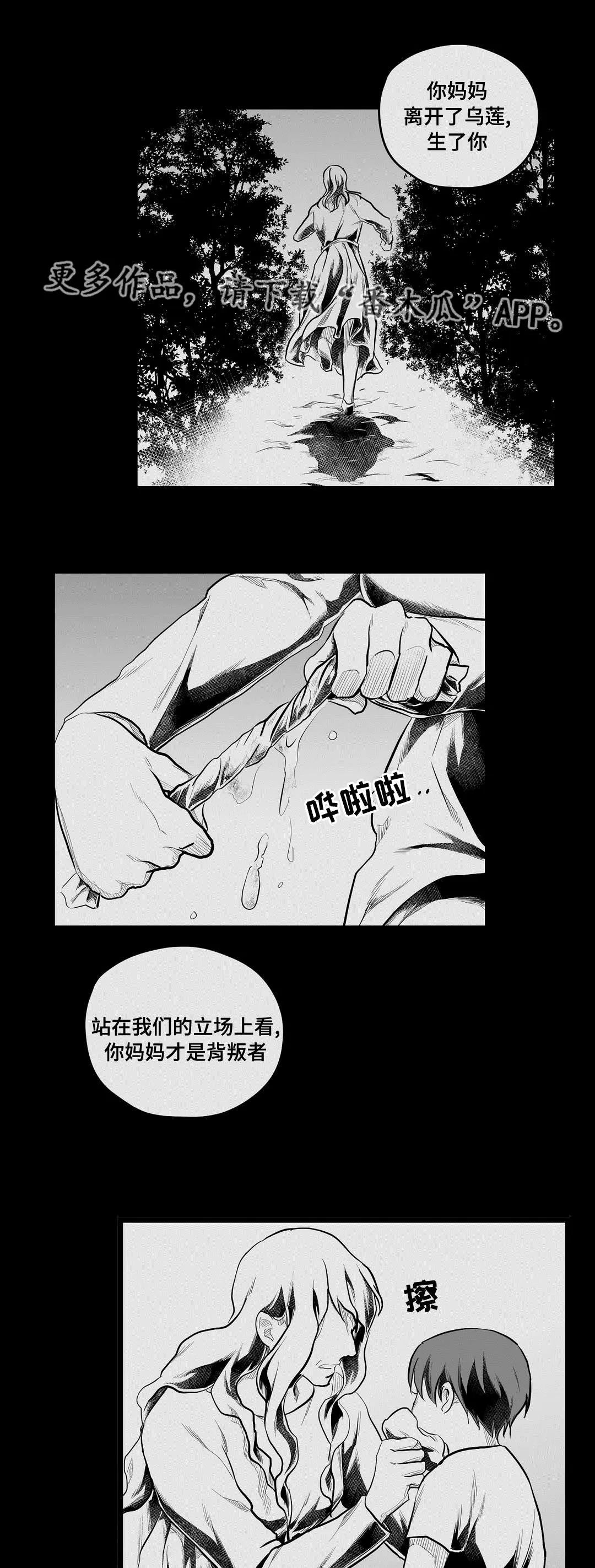 王子与巫师漫画漫画,第72章：好想你17图