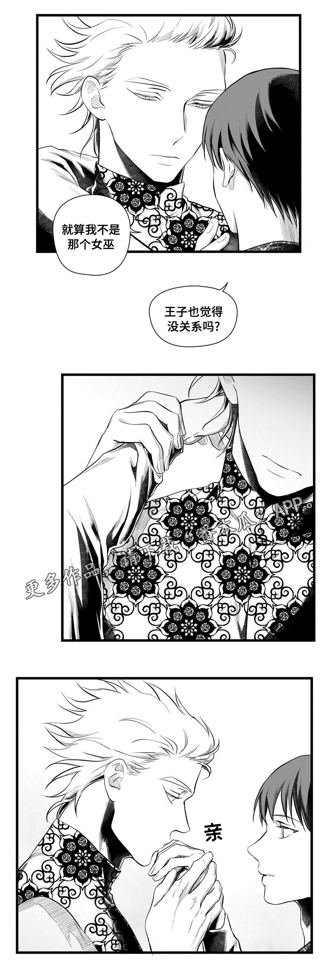 王子和巫师二三事番外漫画,第51章：魔力13图