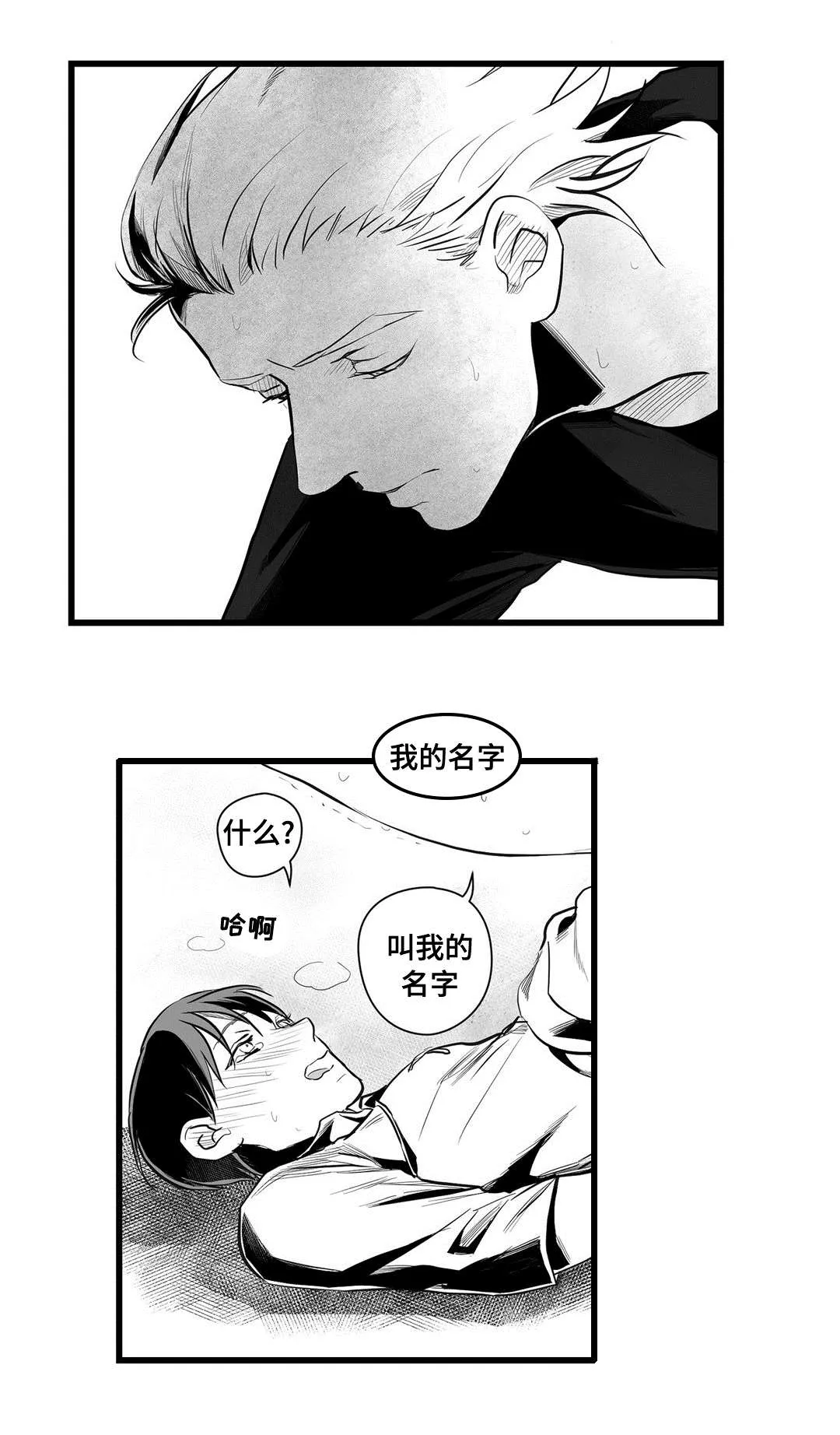 巫师与狮子漫画漫画,第39章：喜欢你7图