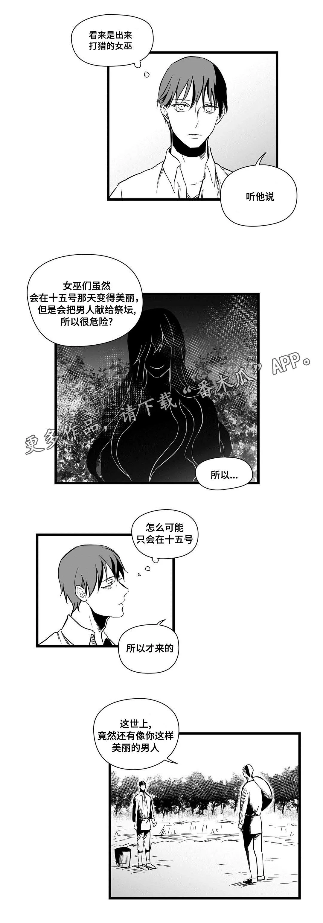 巫师漫画图片漫画,第19章：打猎8图