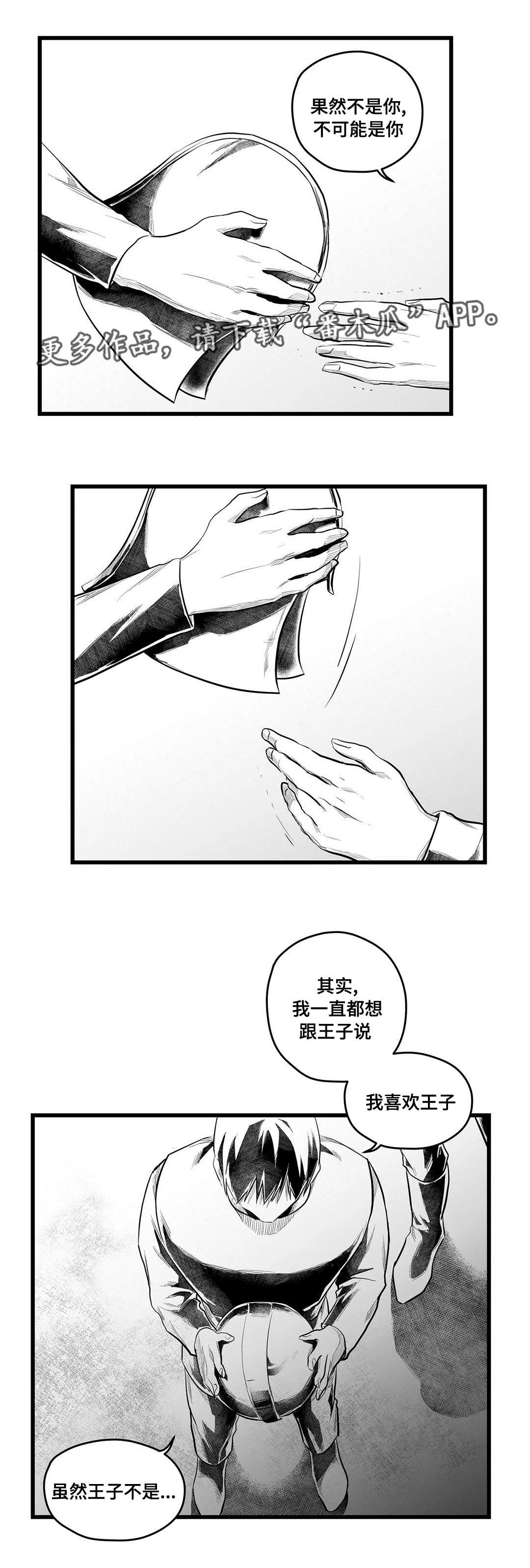 巫师与王子漫画漫画,第55章：爱上2图