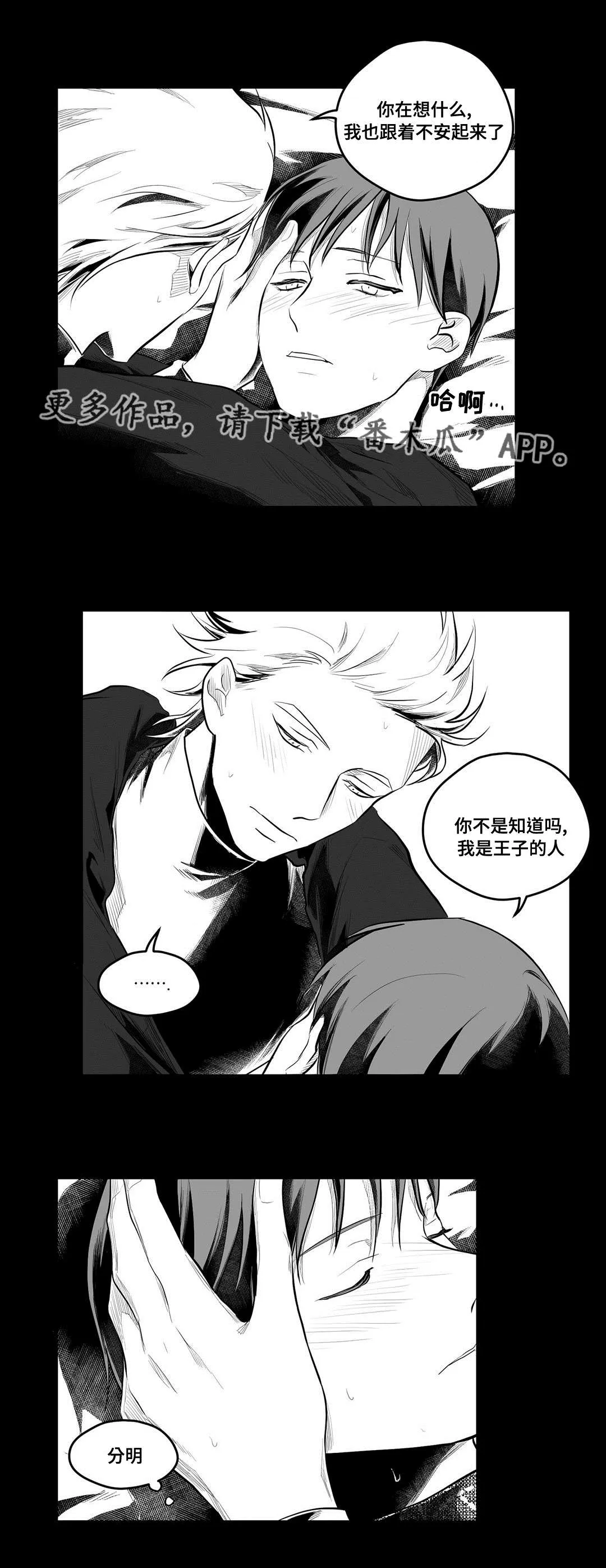 巫师与王子漫画漫画,第55章：爱上14图