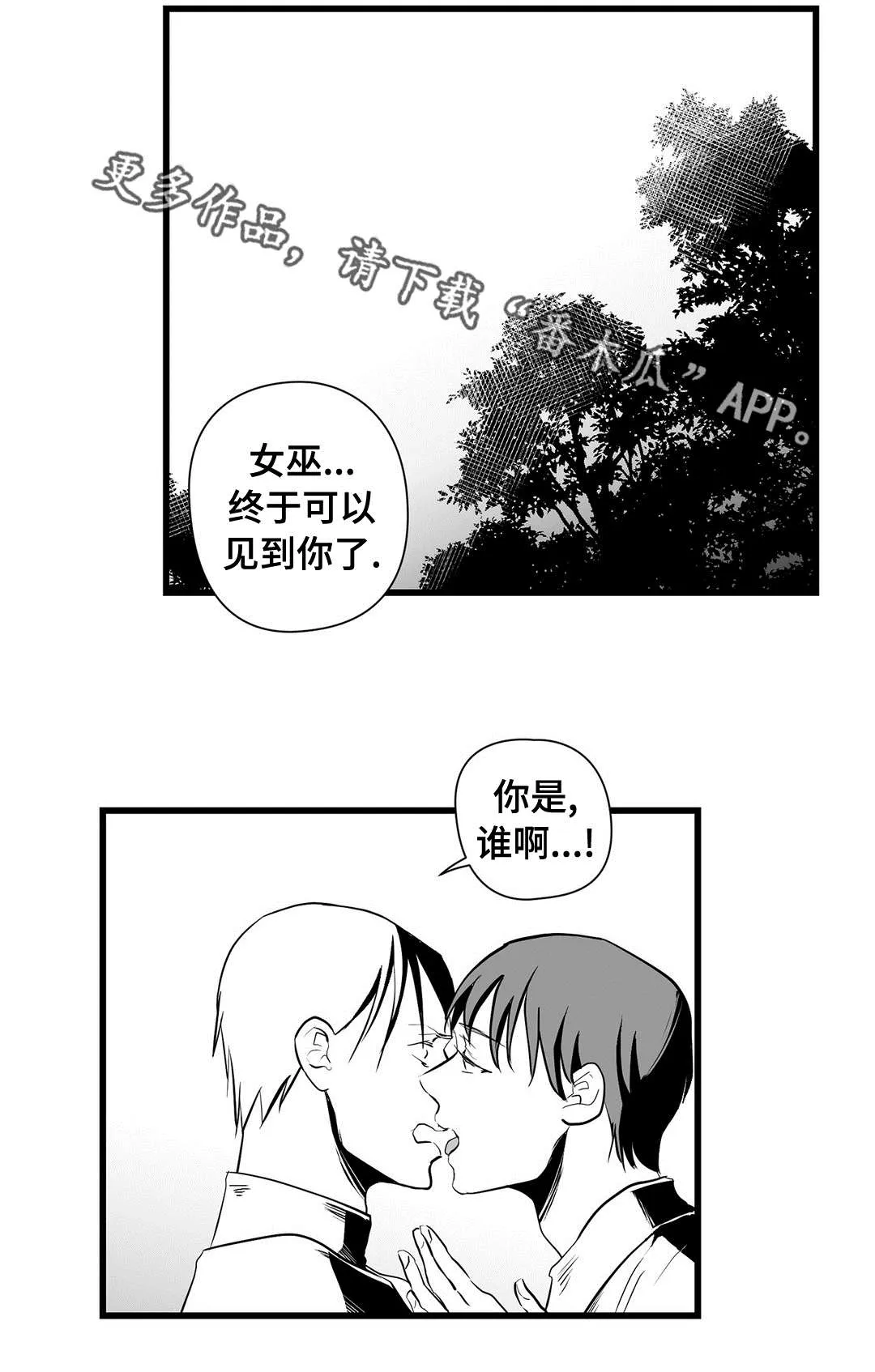 巫师与吸血鬼漫画漫画,第24章：诡异8图