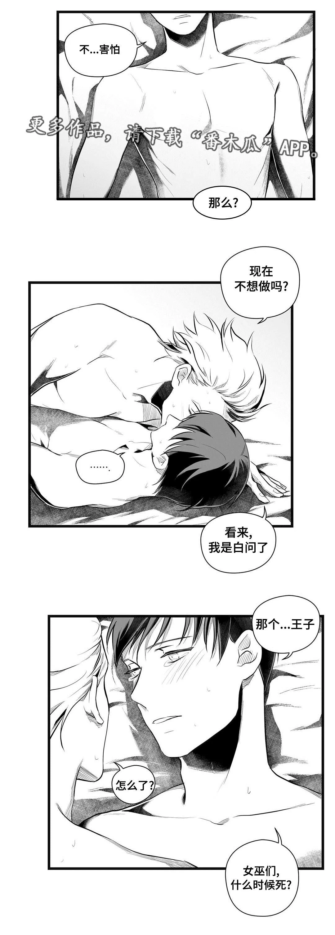 巫师与王子漫画漫画,第49章：守护10图