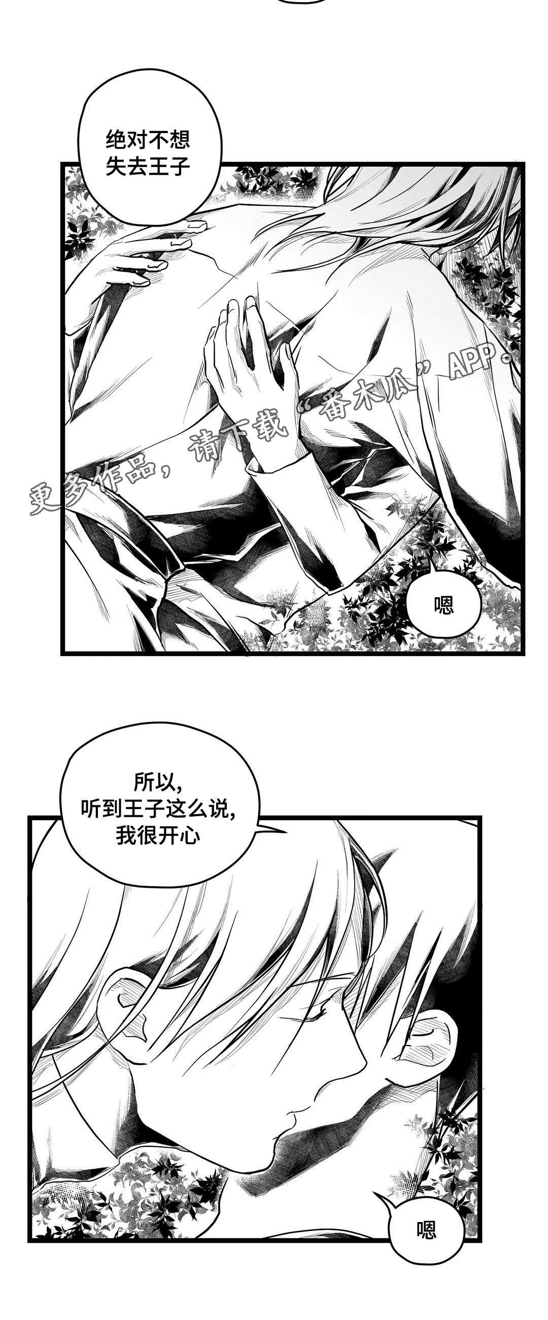 巫师与王子漫画漫画,第71章：命运2图