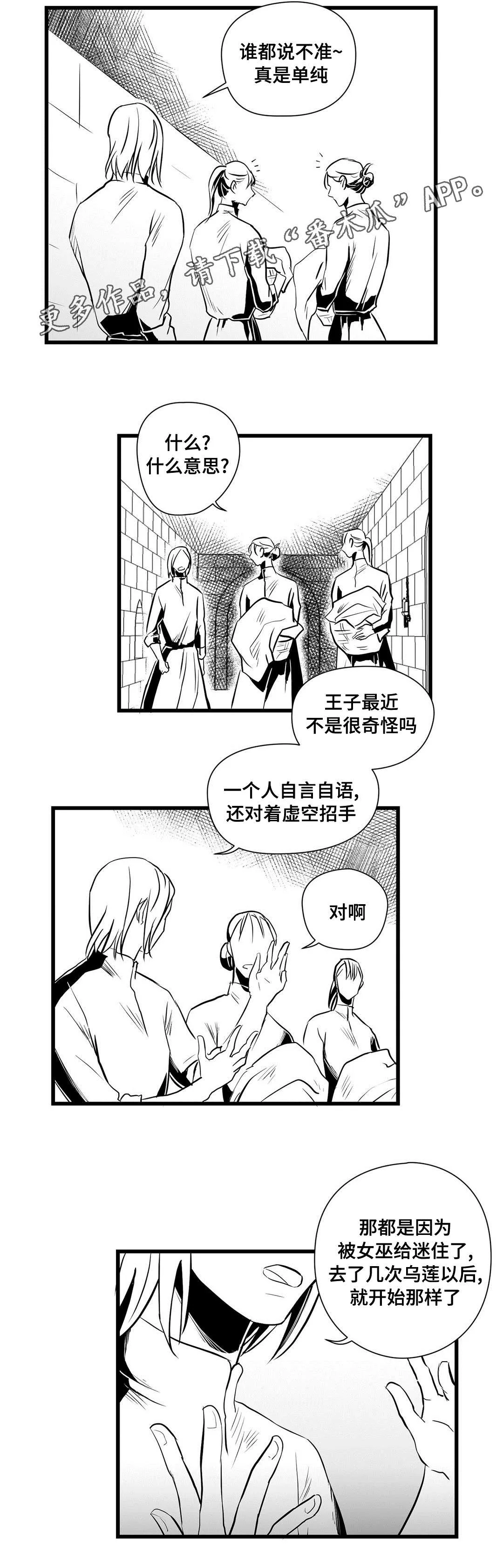 巫师与王子的二三事漫画,第32章：猜想7图