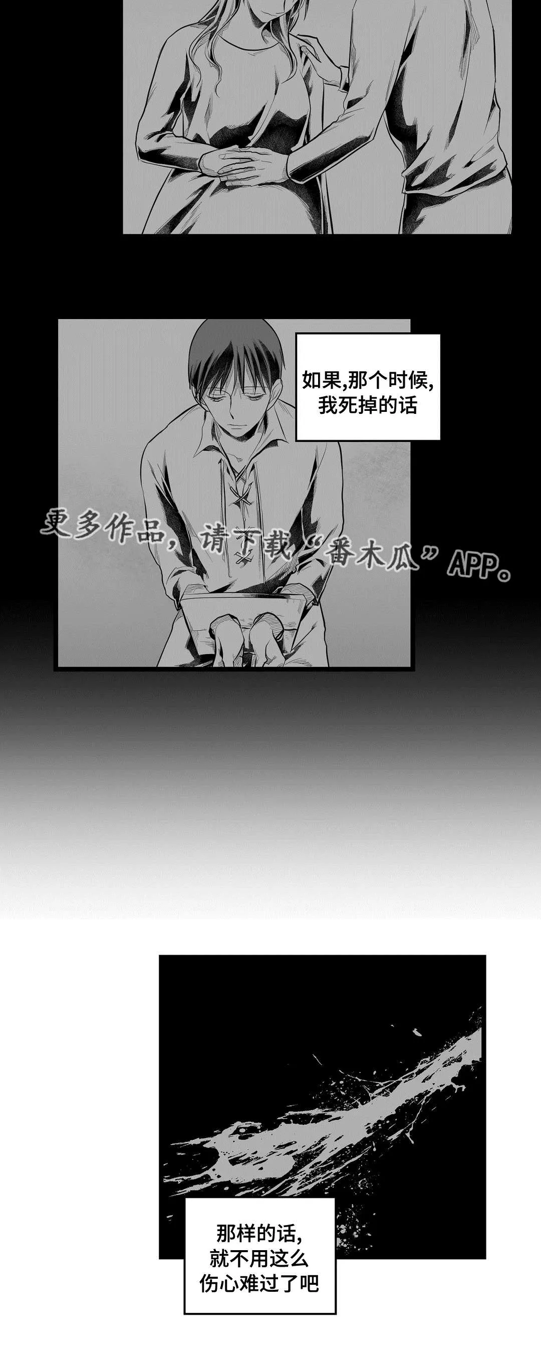 王子与巫师的二三漫画,第90章：得失4图