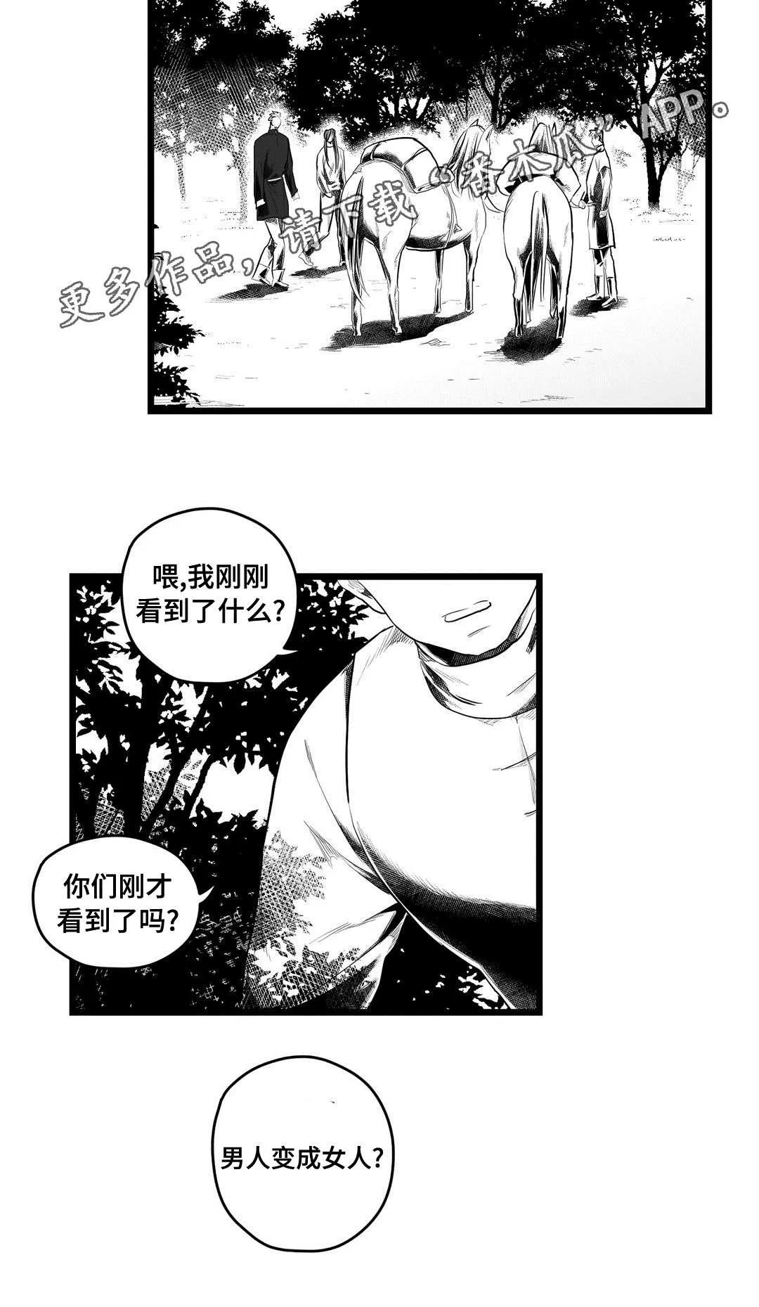 巫师与王子漫画漫画,第84章：十五12图