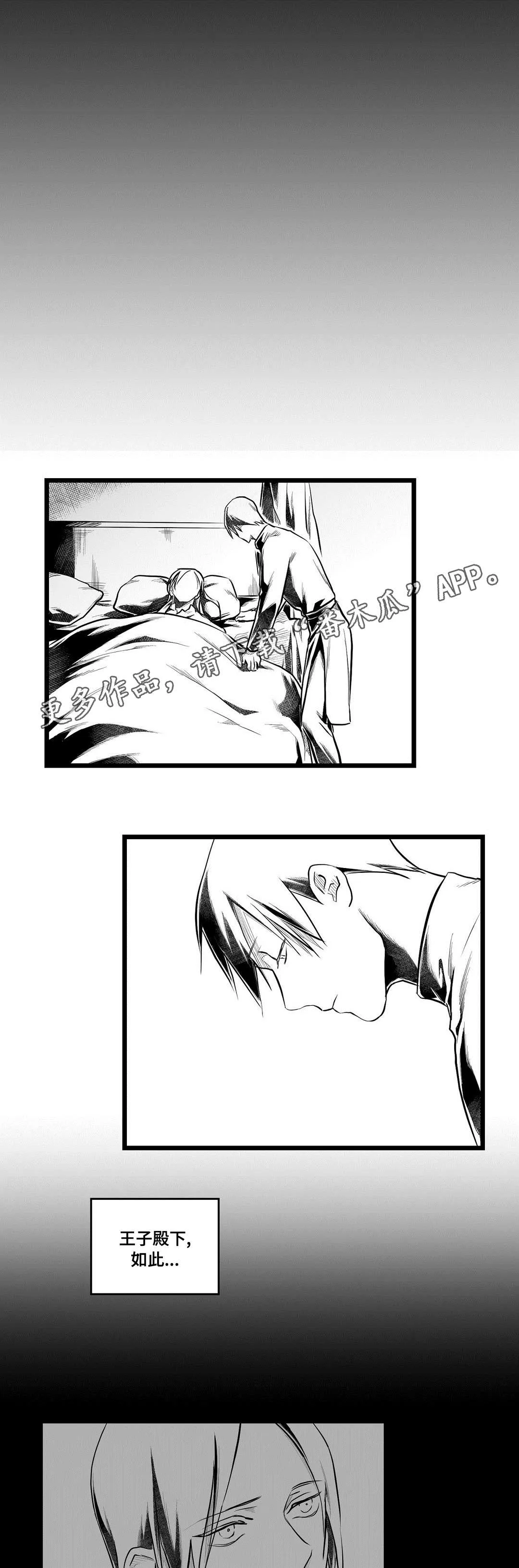 巫师与王子的二三事漫画,第62章：相爱13图