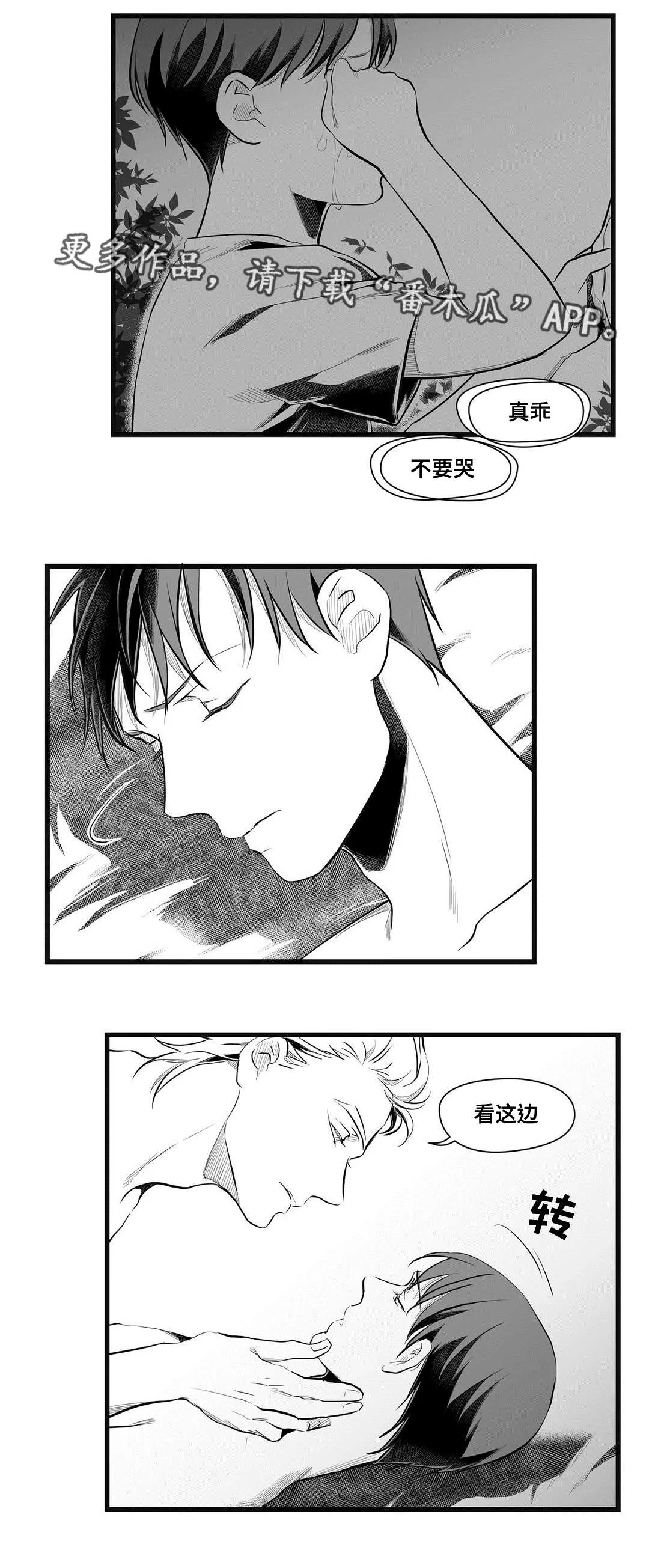 巫师与王子漫画漫画,第49章：守护4图