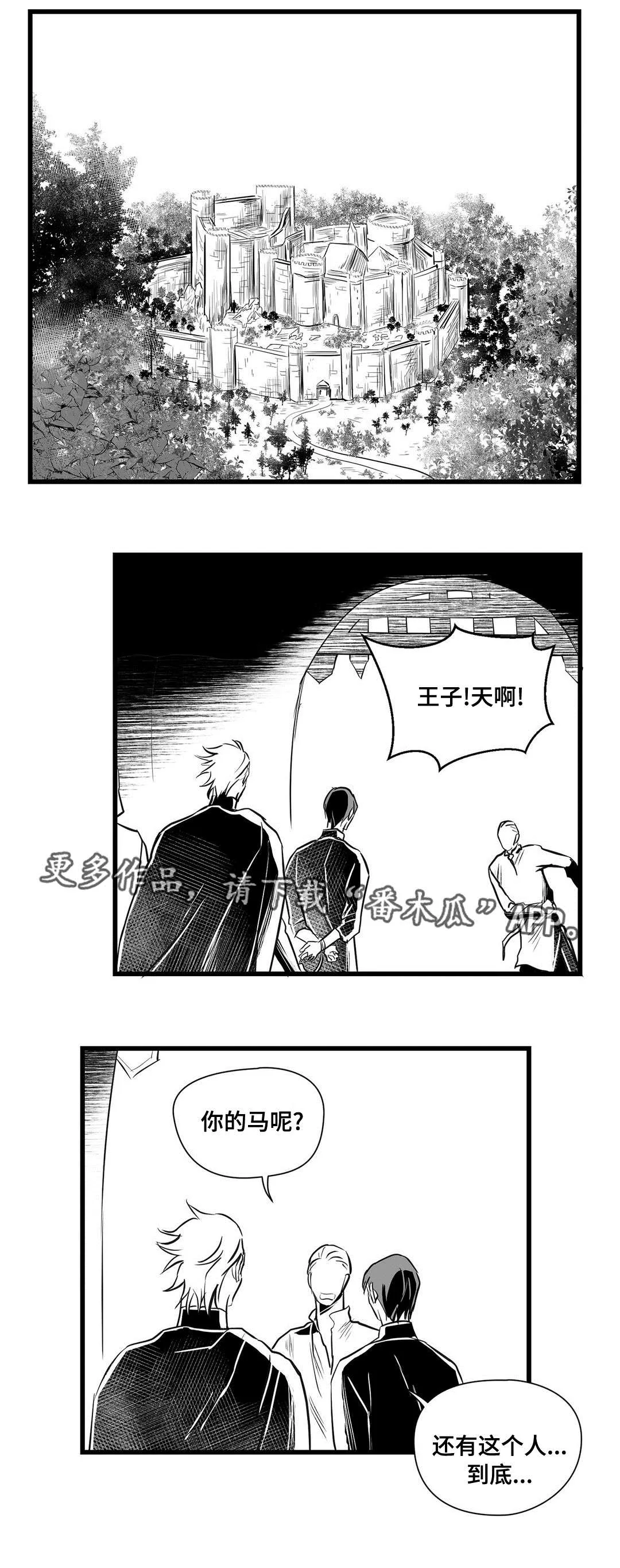 巫师与王子漫画漫画,第30章：监狱1图