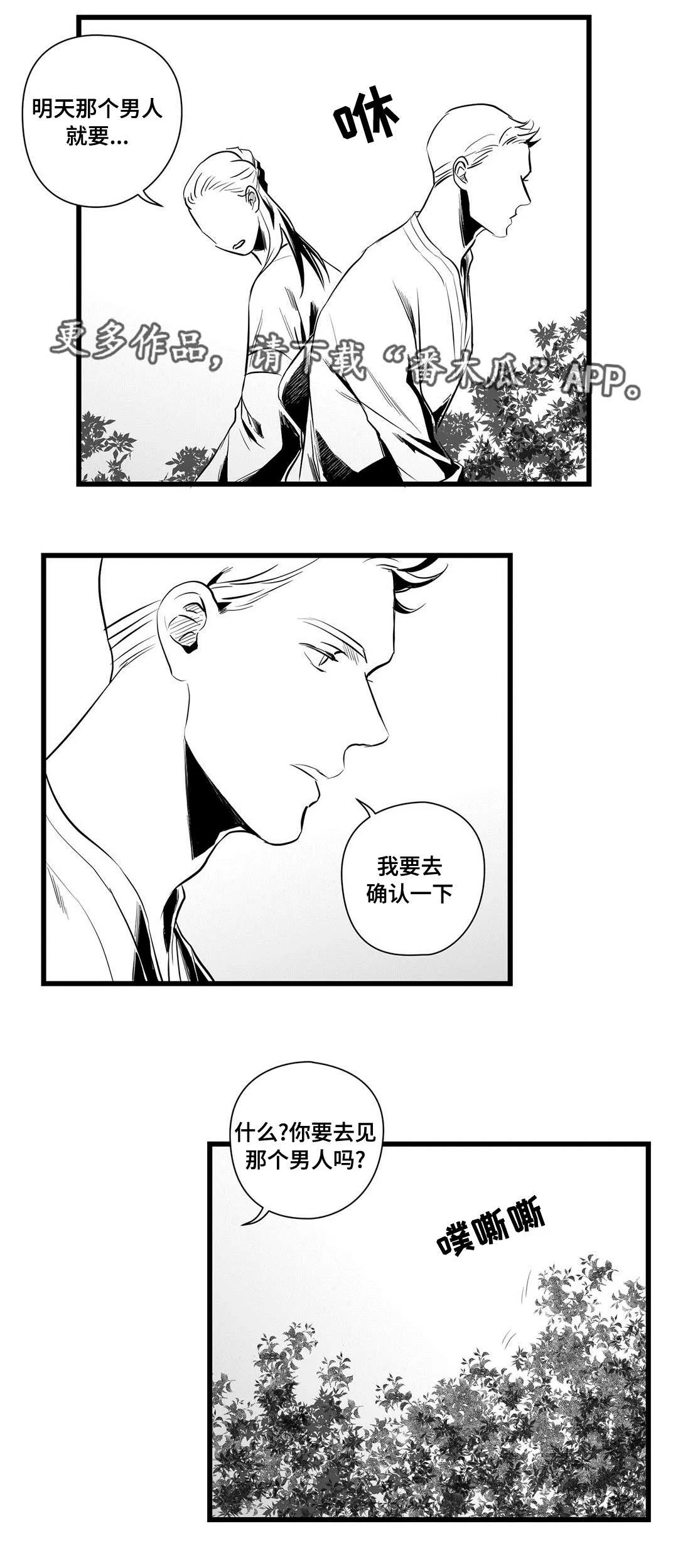 巫师与王子漫画漫画,第36章：隐瞒着什么17图