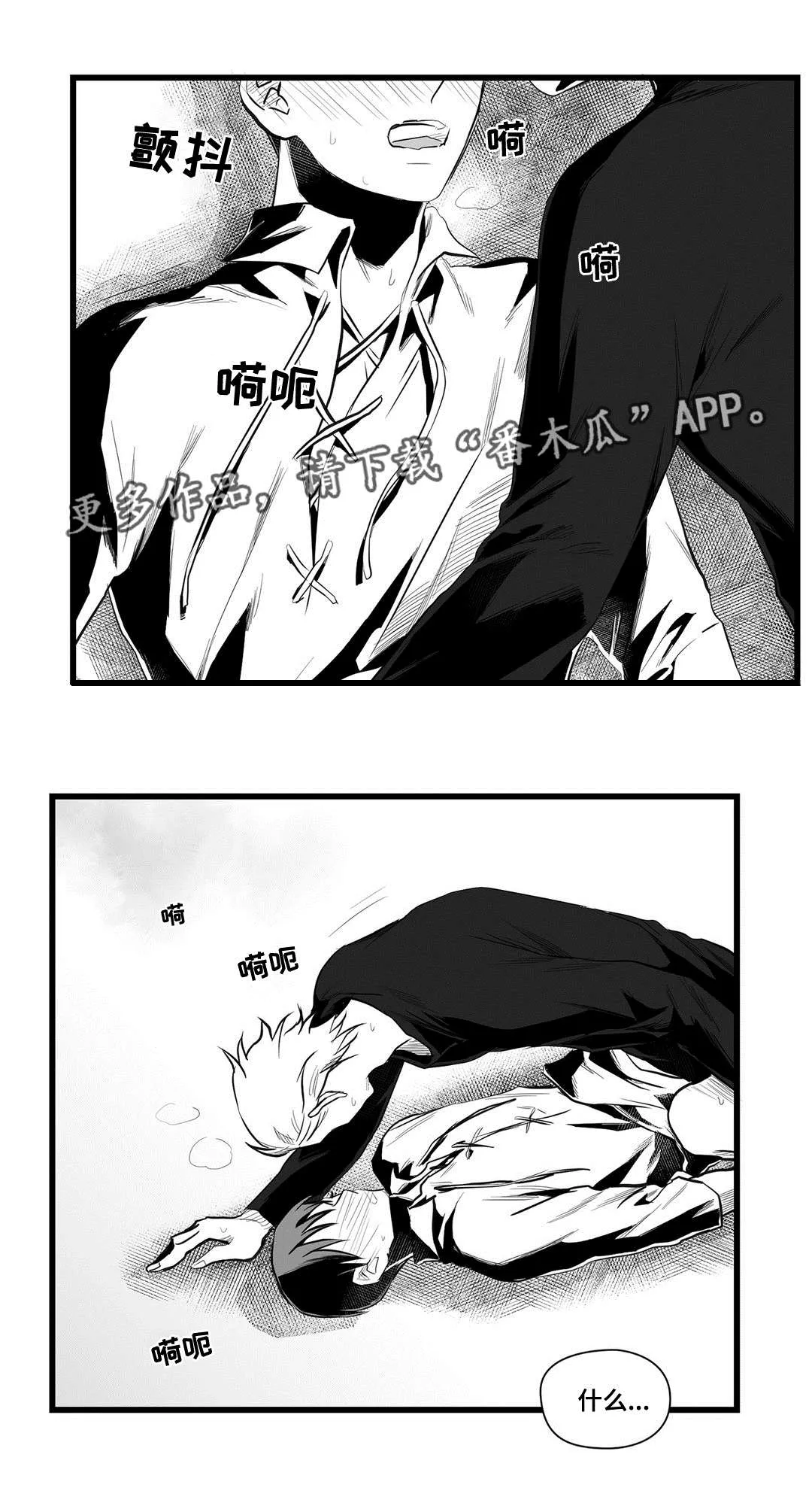 巫师与狮子漫画漫画,第39章：喜欢你12图