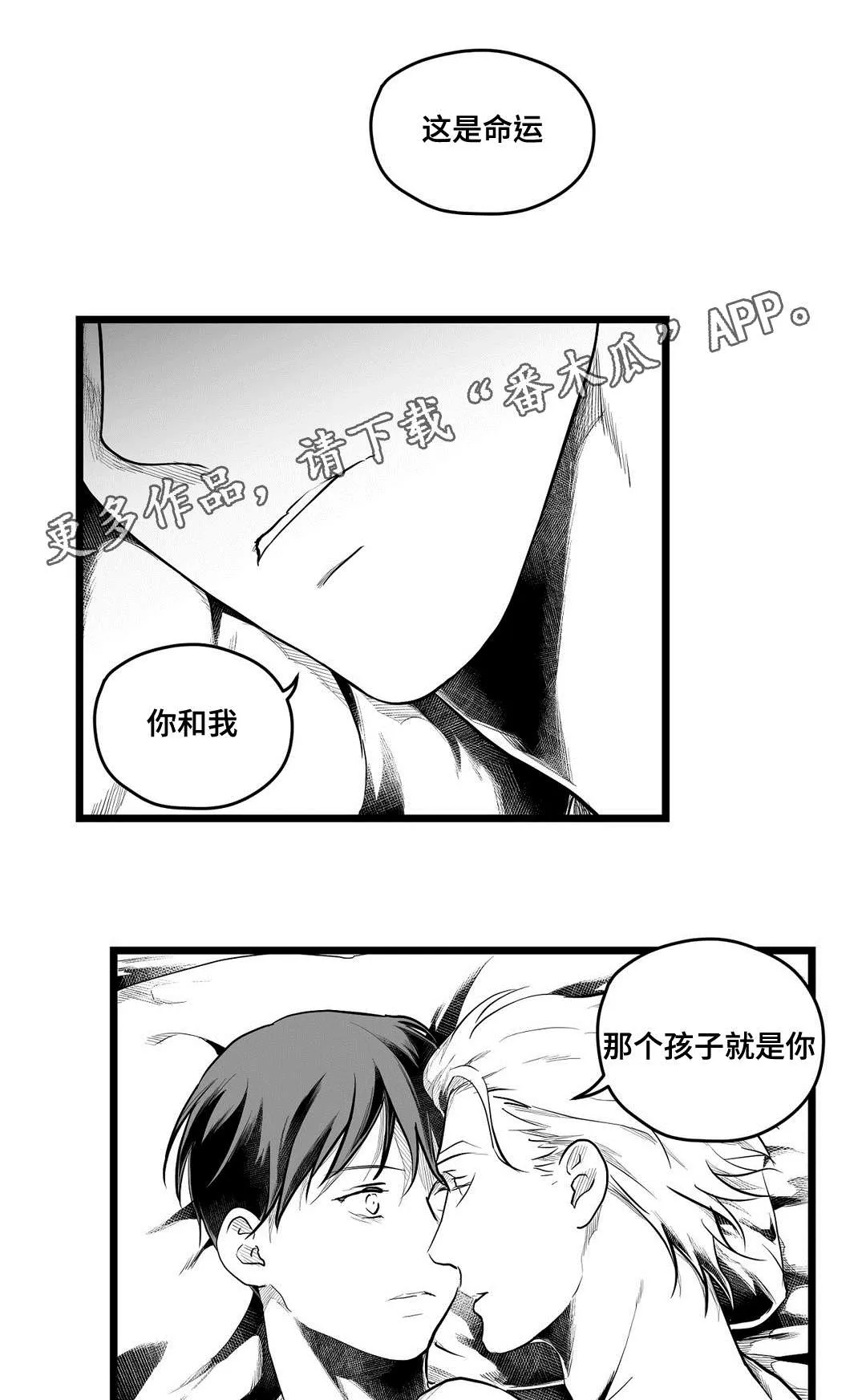 巫师与王子漫画漫画,第71章：命运12图