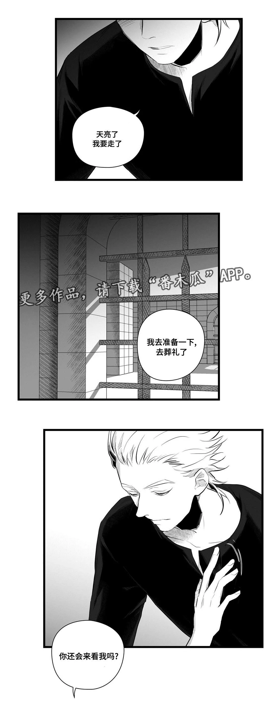 巫师与王子的二三事漫画,第41章：何去何从8图