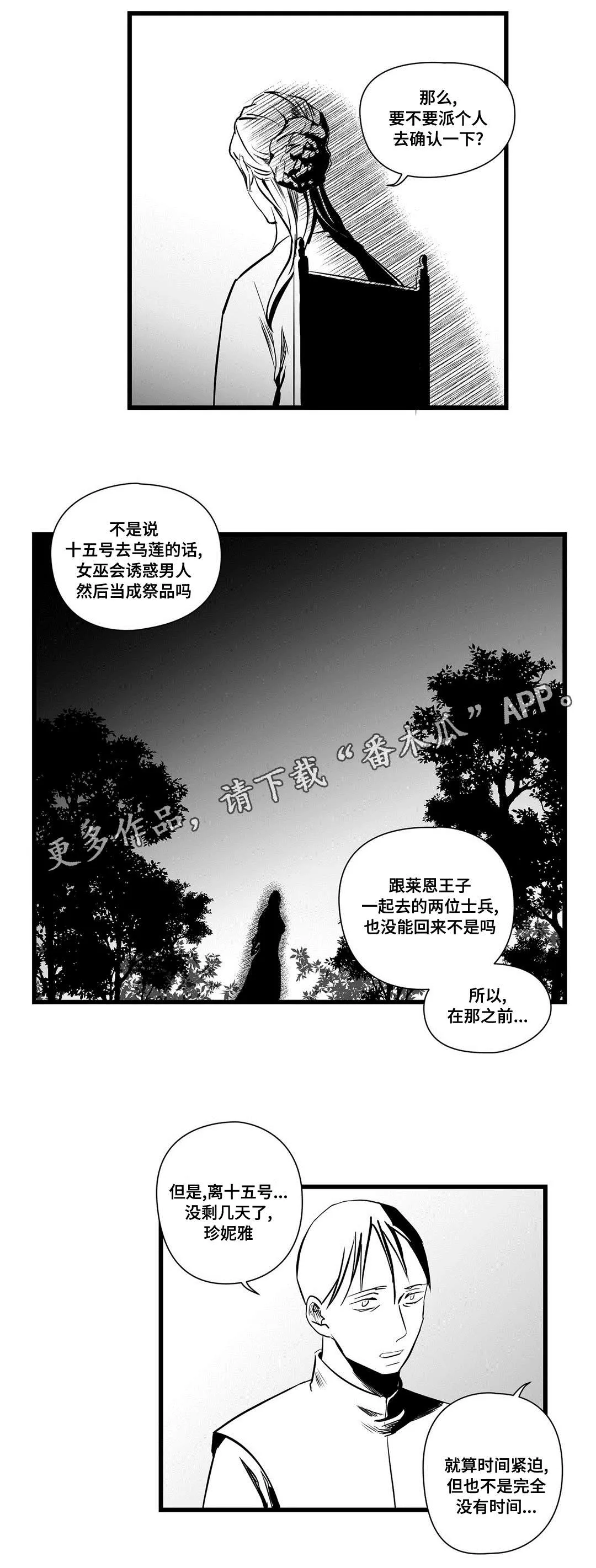 巫师与王子漫画漫画,第22章：确认20图