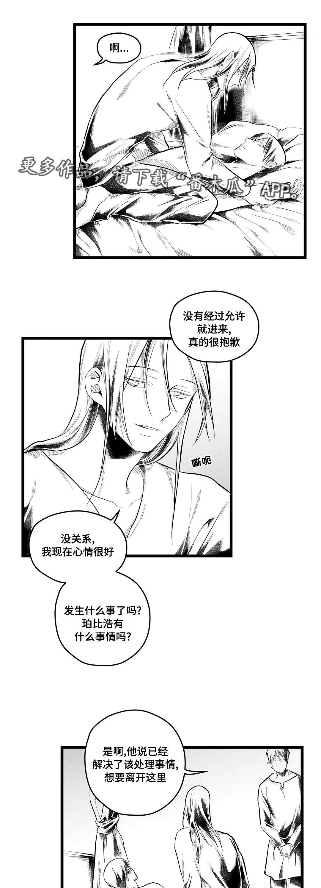 巫师与王子漫画漫画,第85章：遇袭5图