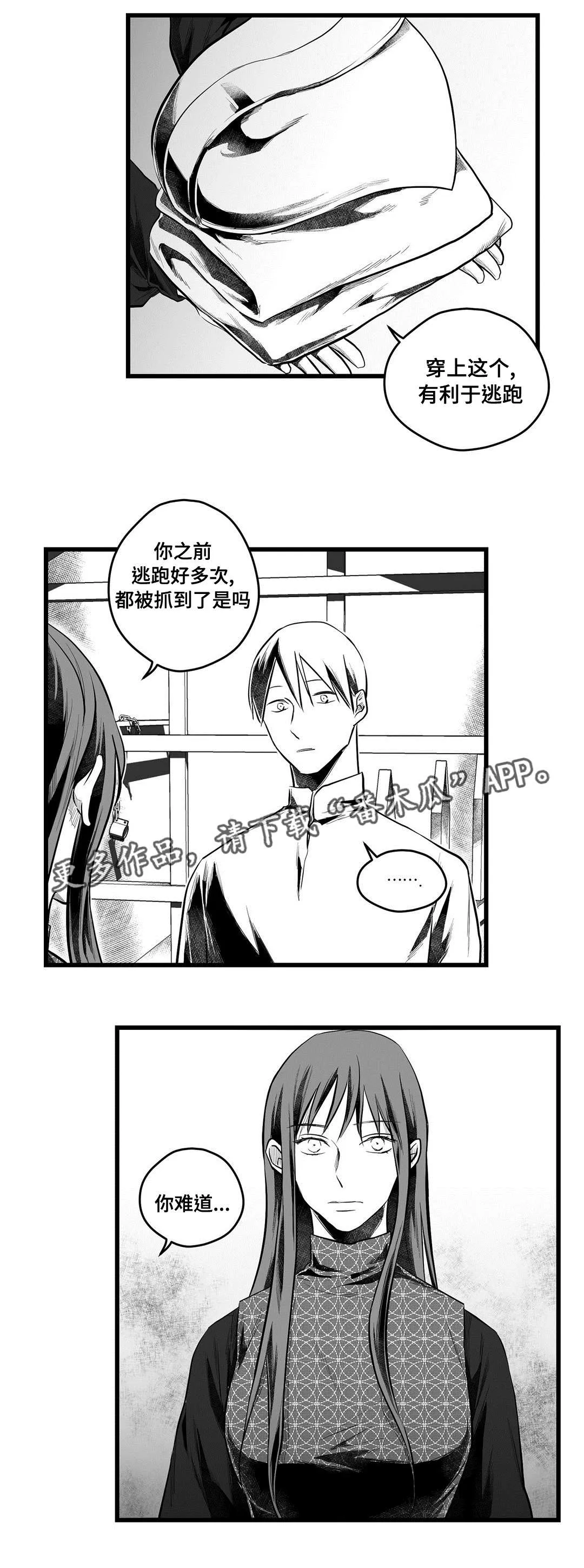 巫师与王子漫画漫画,第54章：出逃7图