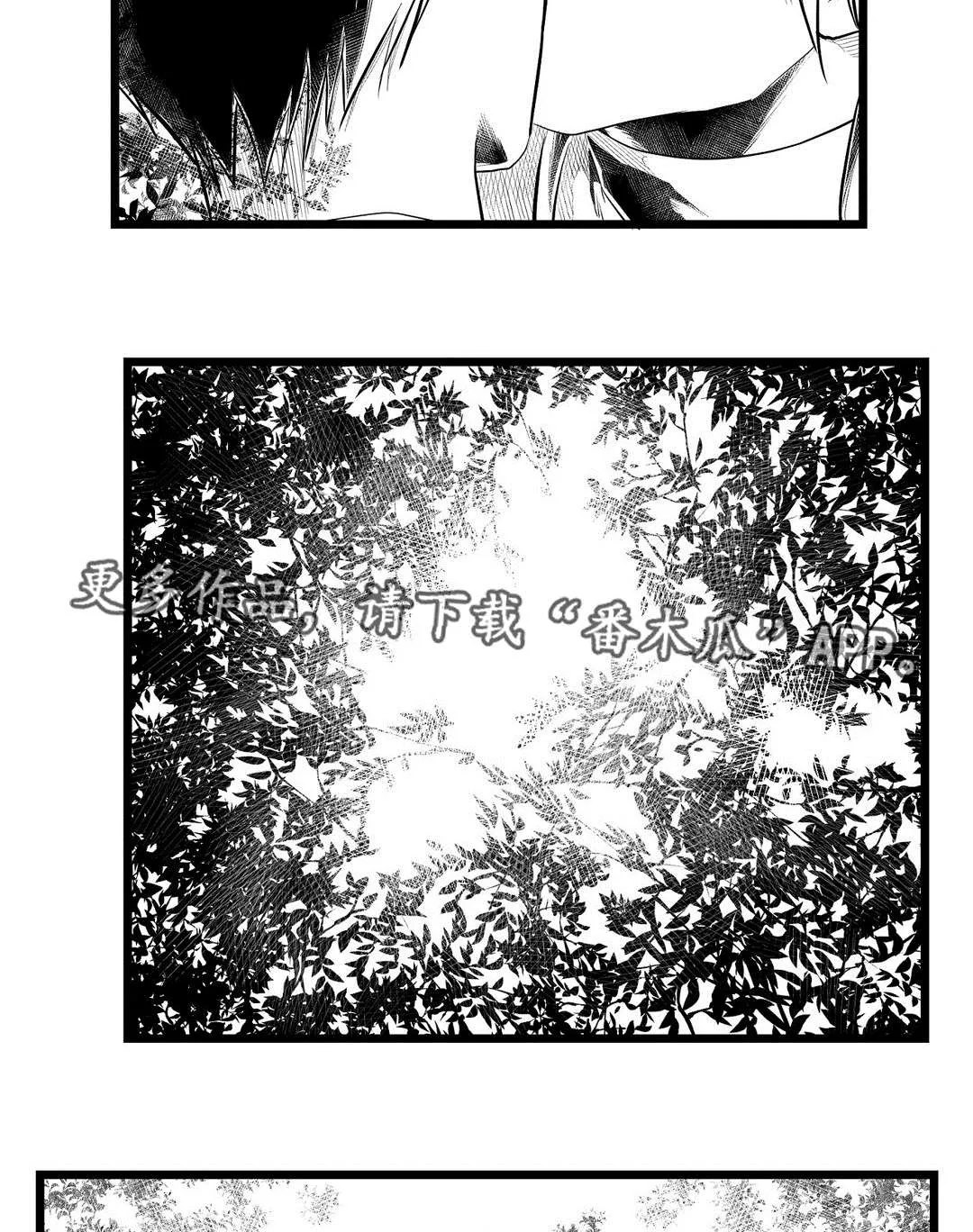 巫师与王子漫画漫画,第71章：命运8图