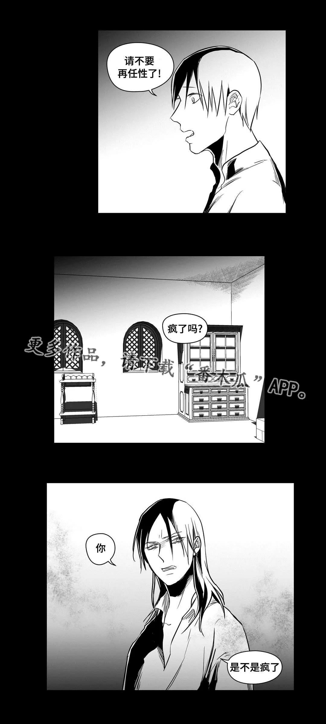 巫师与王子漫画漫画,第17章：最初12图