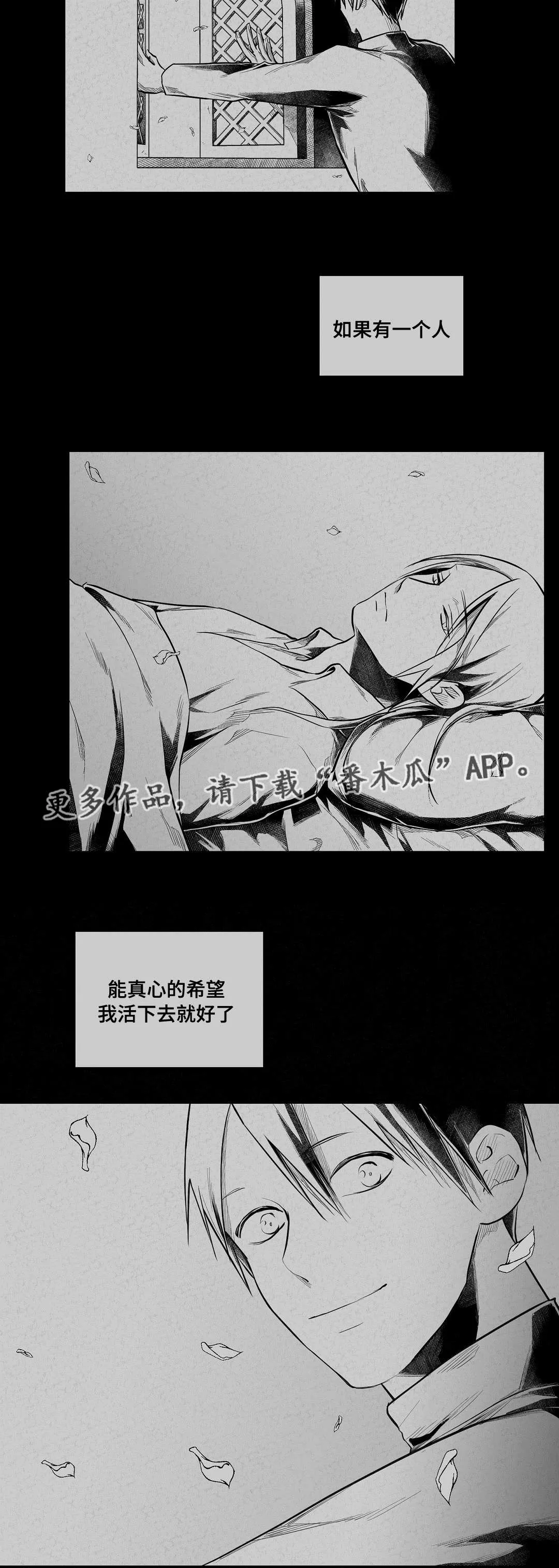 王子与巫师漫画漫画,第63章：爱情18图