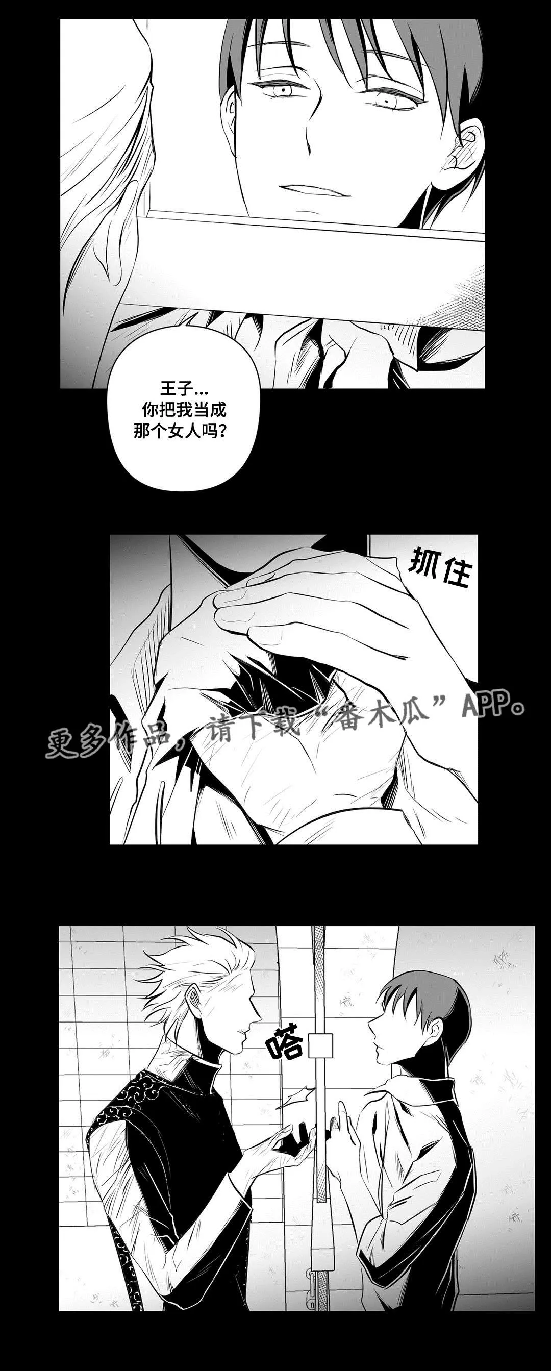 巫师与王子漫画漫画,第35章：一模一样8图