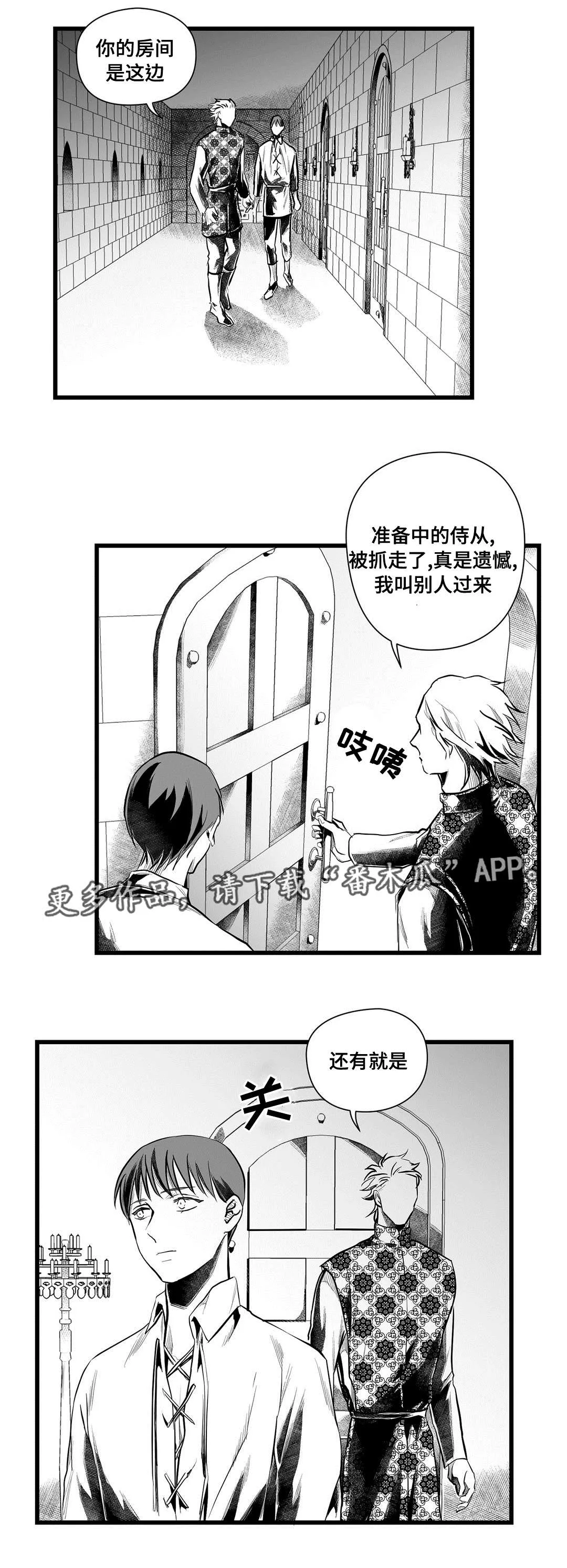 巅峰巫师漫画哪里看漫画,第48章：麻烦11图