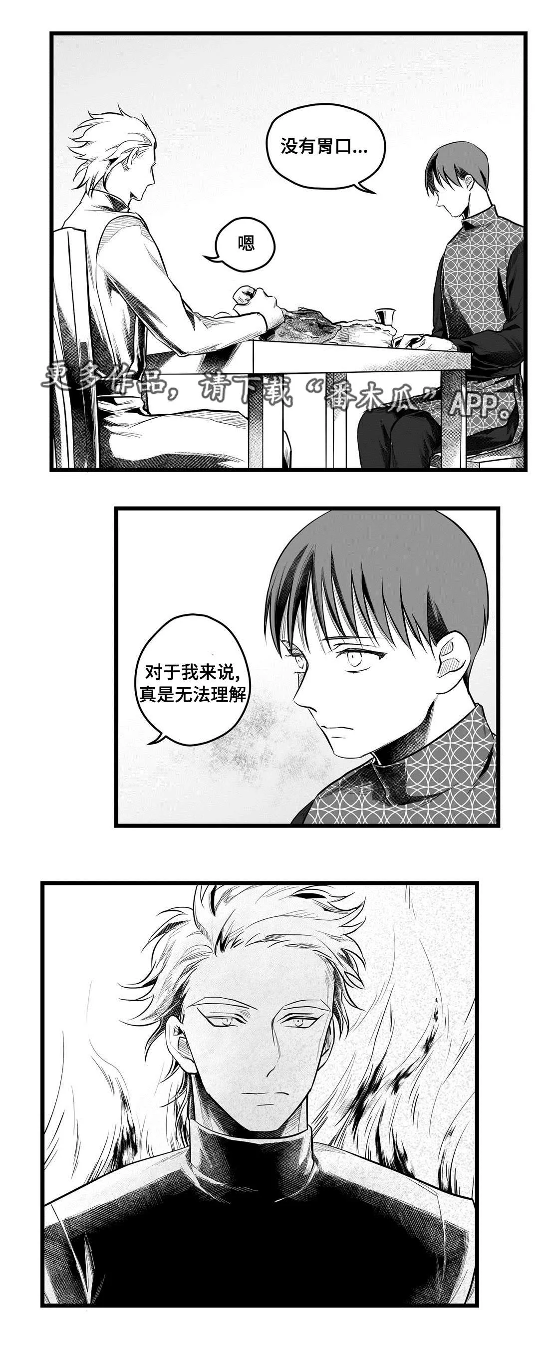 巫师与王子漫画漫画,第53章：无法理解18图