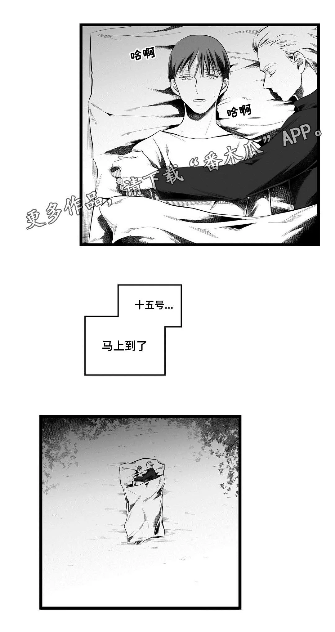 巅峰巫师漫画哪里看漫画,第82章：梦12图