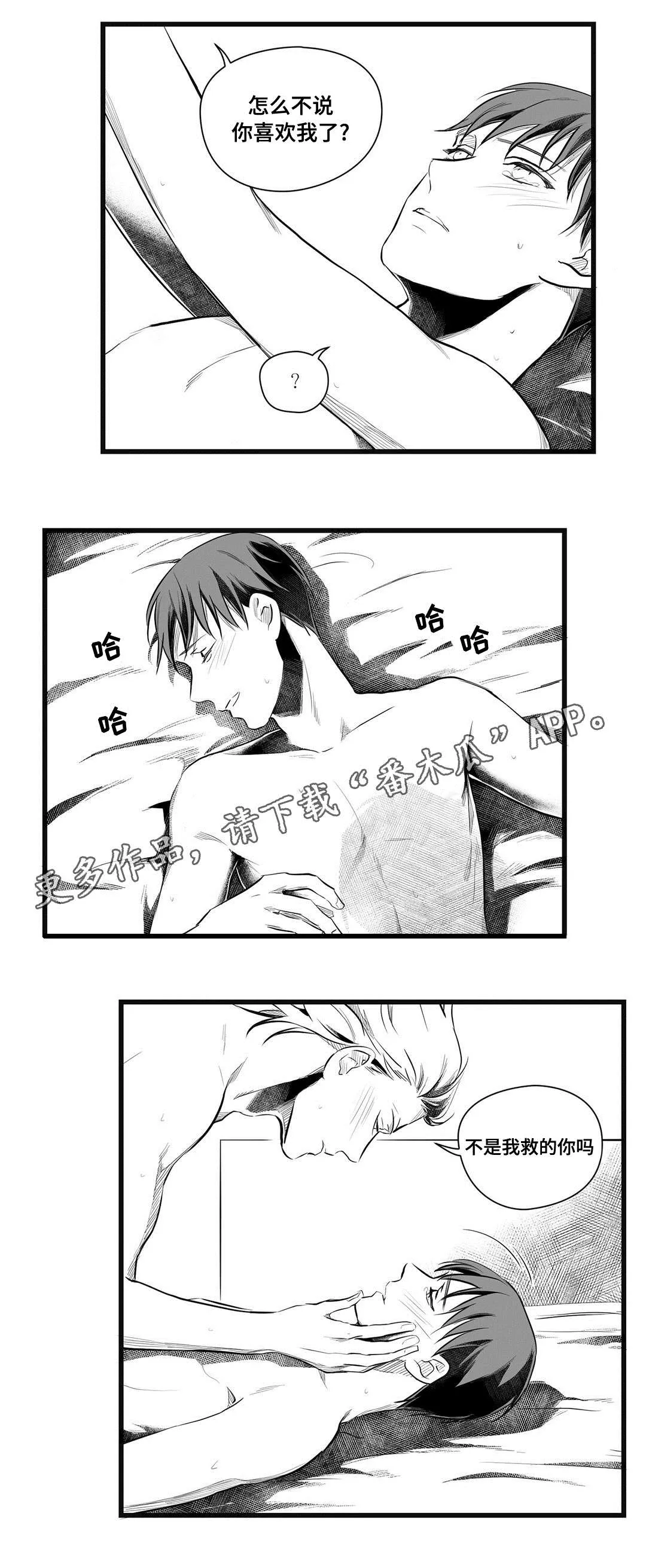 巫师与王子漫画漫画,第49章：守护8图