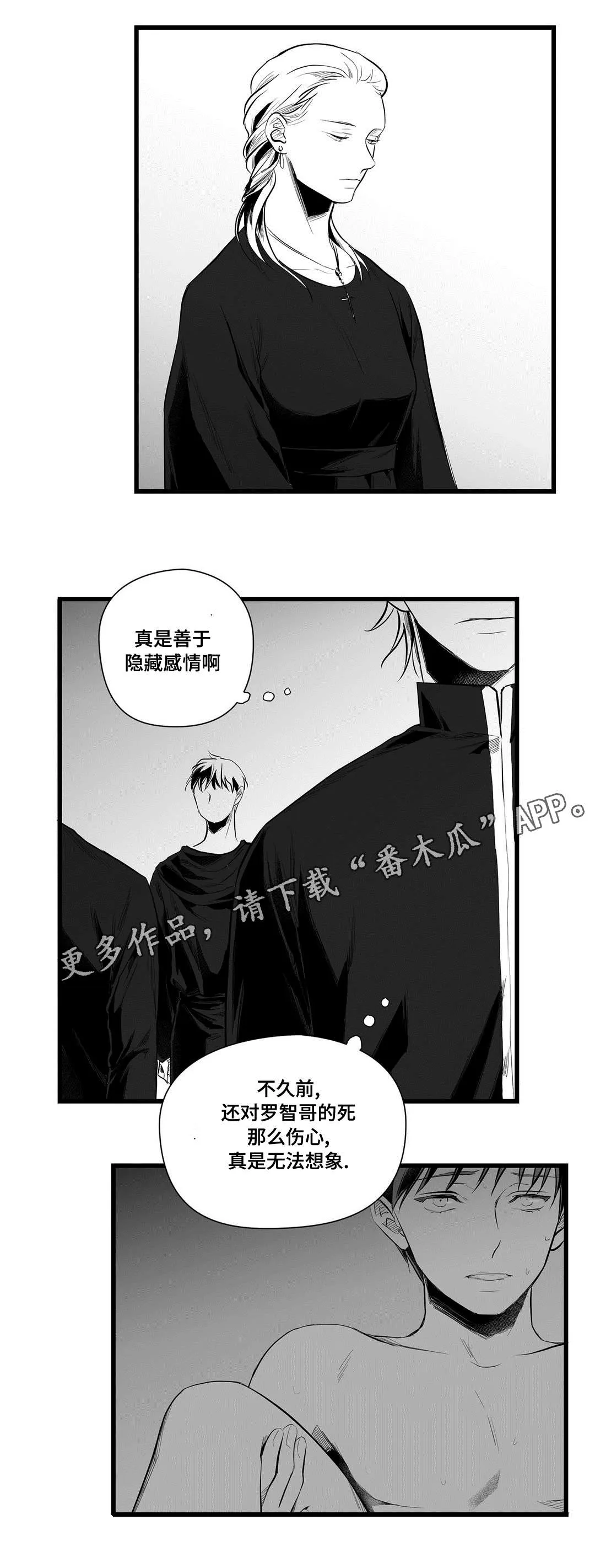 巫师与王子漫画漫画,第42章：葬礼3图