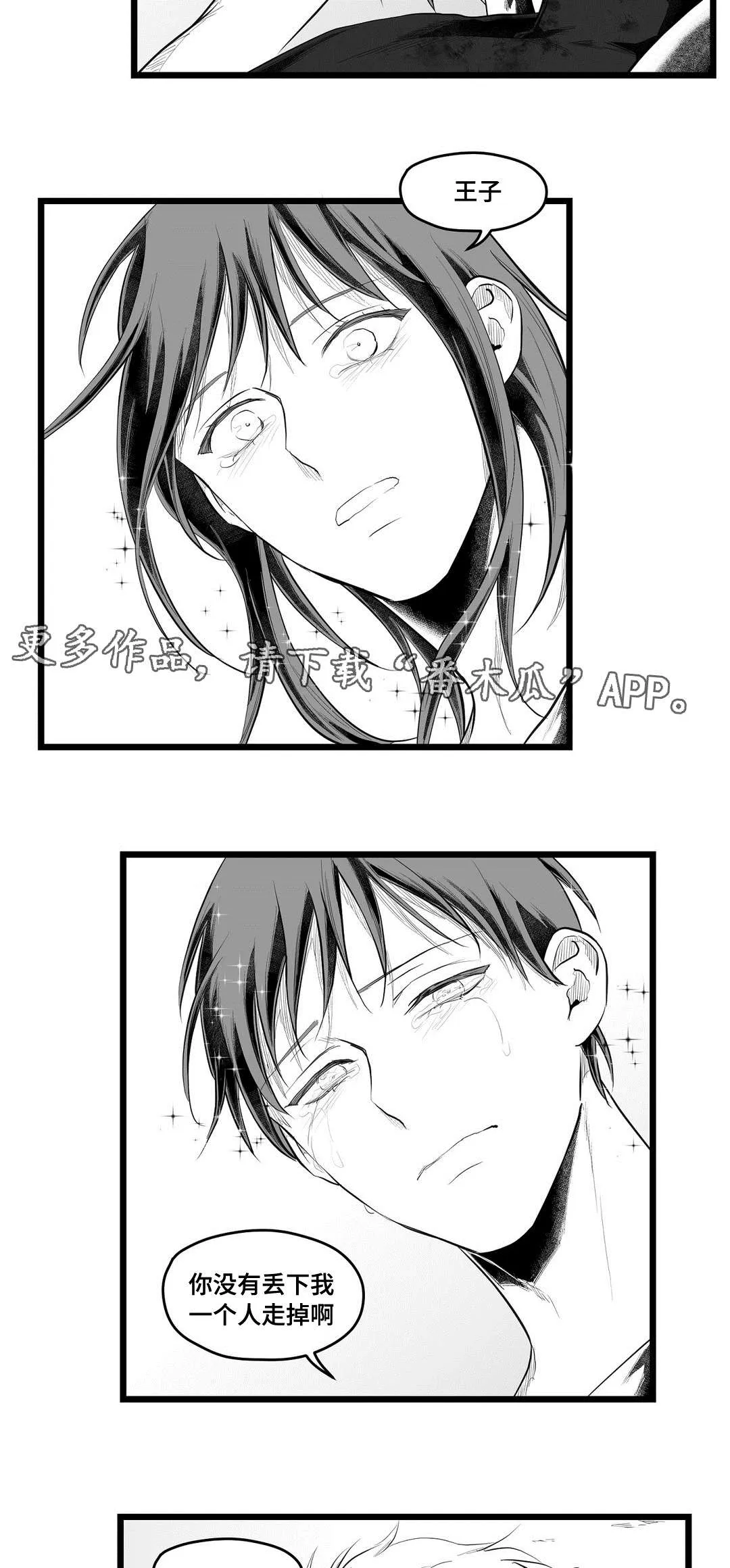 王子与巫师的二三漫画,第90章：得失9图