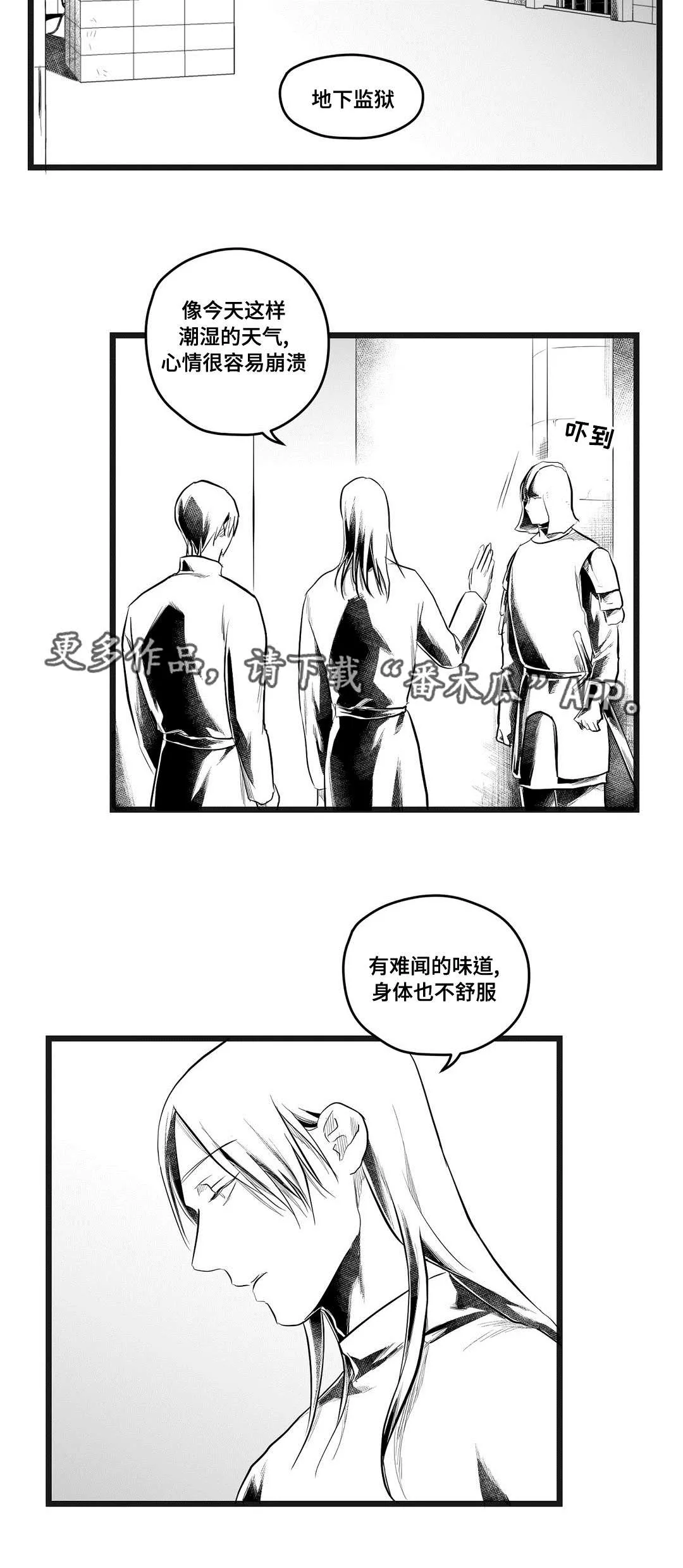 巫师与王子的二三事漫画,第73章：幕后真凶5图