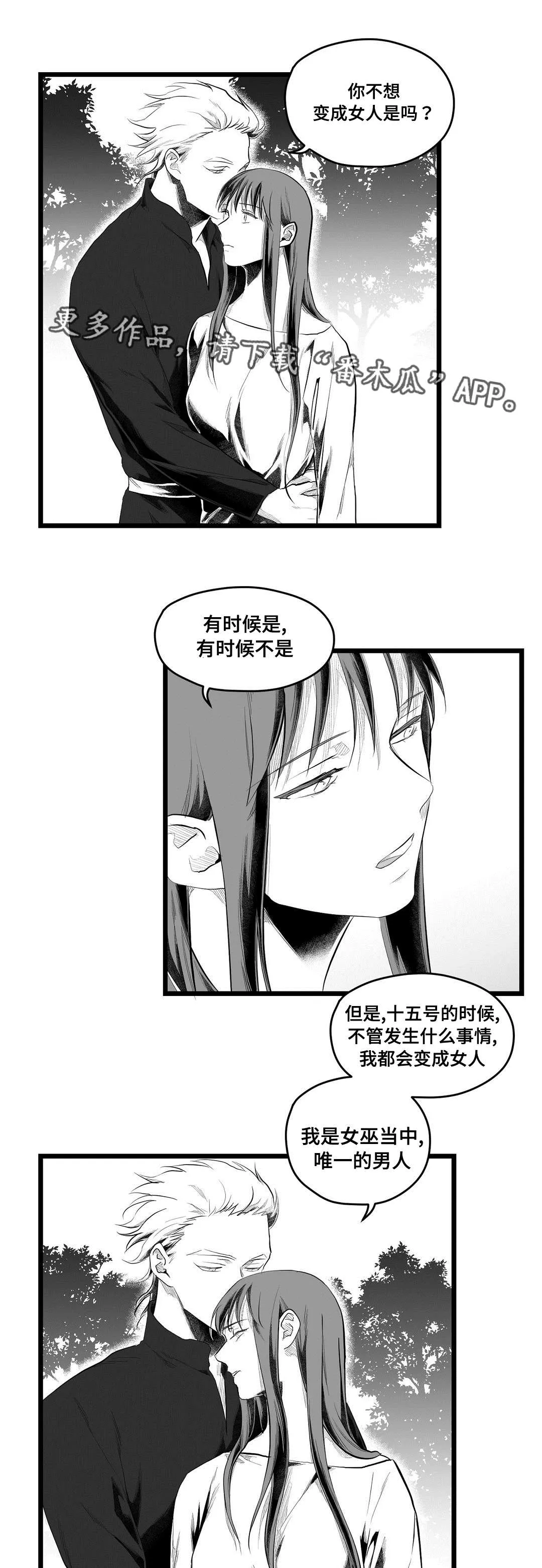 巫师与王子漫画漫画,第84章：十五9图