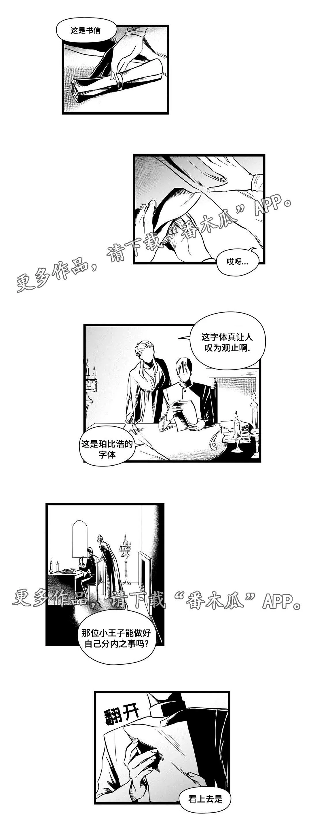 巫师与王子漫画漫画,第11章：秘密8图