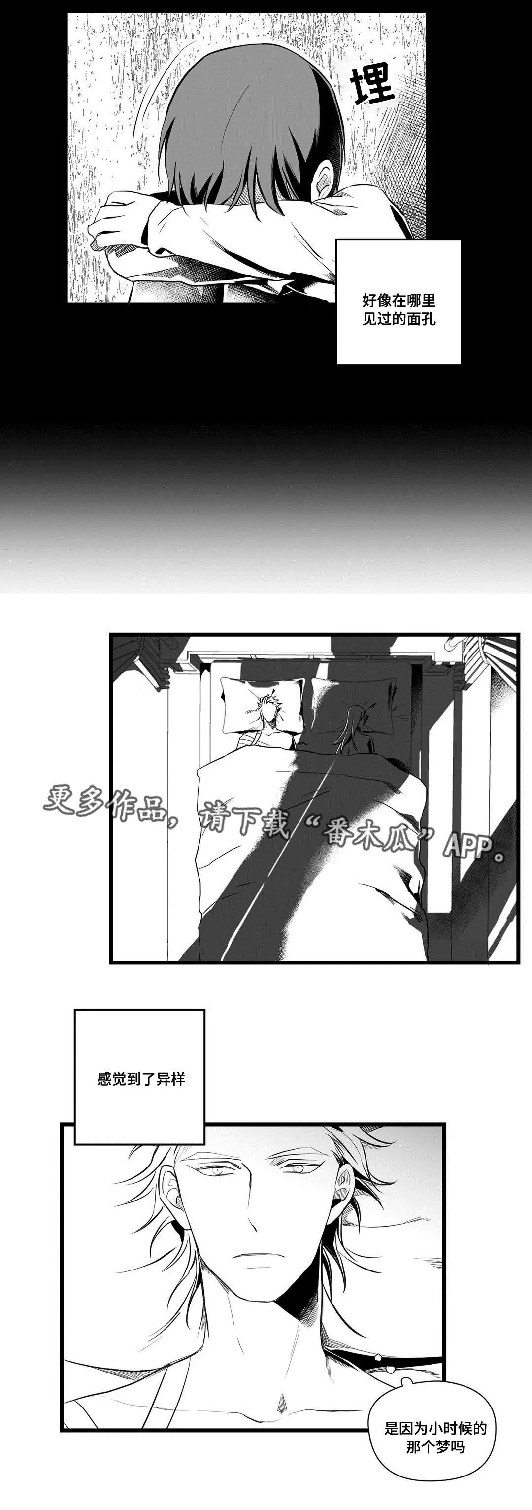 巫师与王子漫画漫画,第36章：隐瞒着什么2图