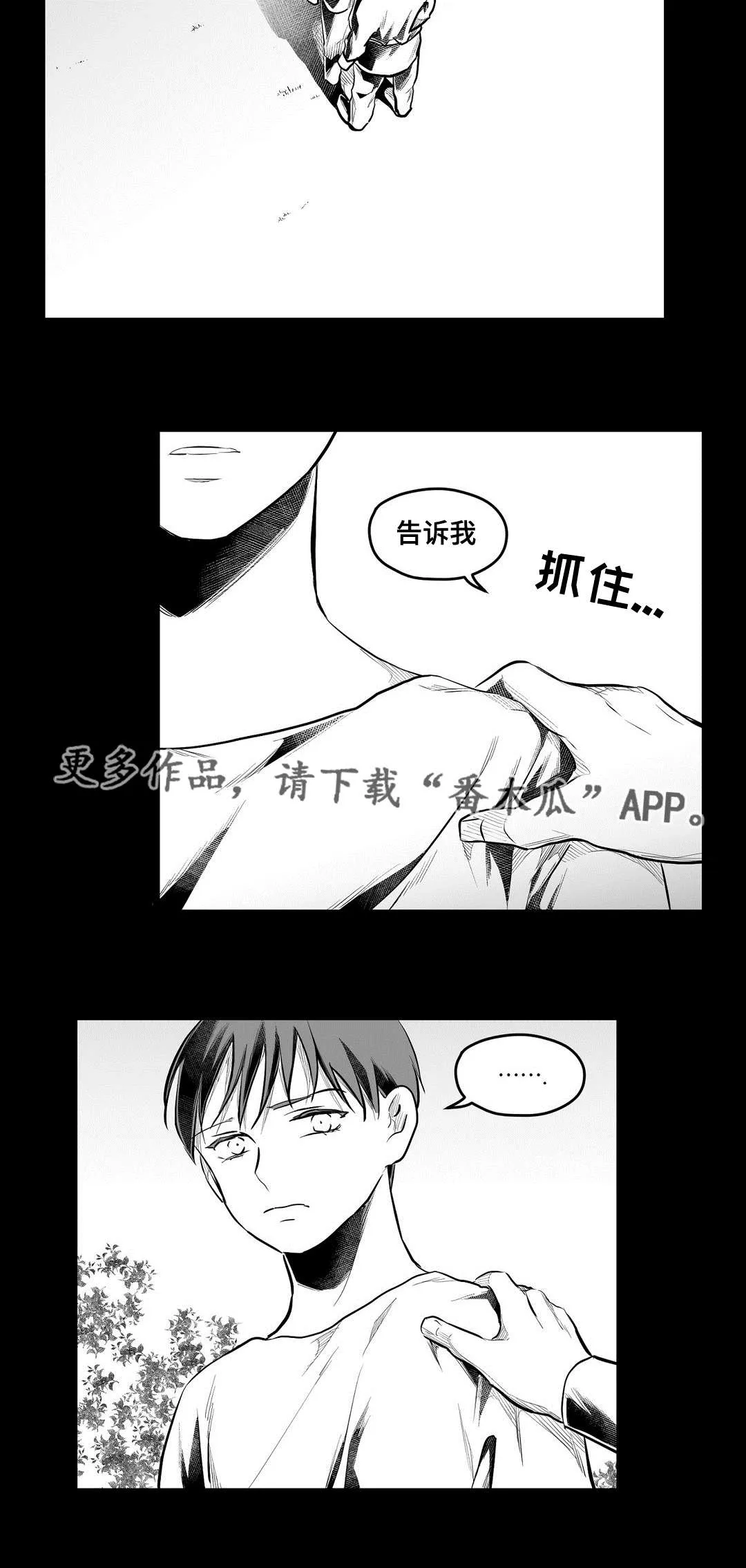 巫师与王子漫画漫画,第69章：野心19图