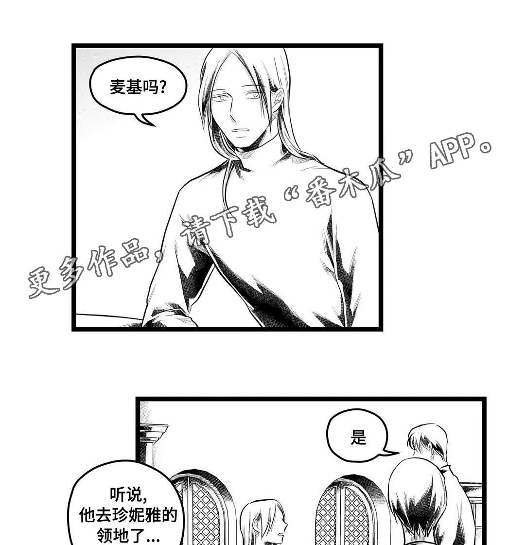 王子与巫师的二三漫画,第90章：得失13图