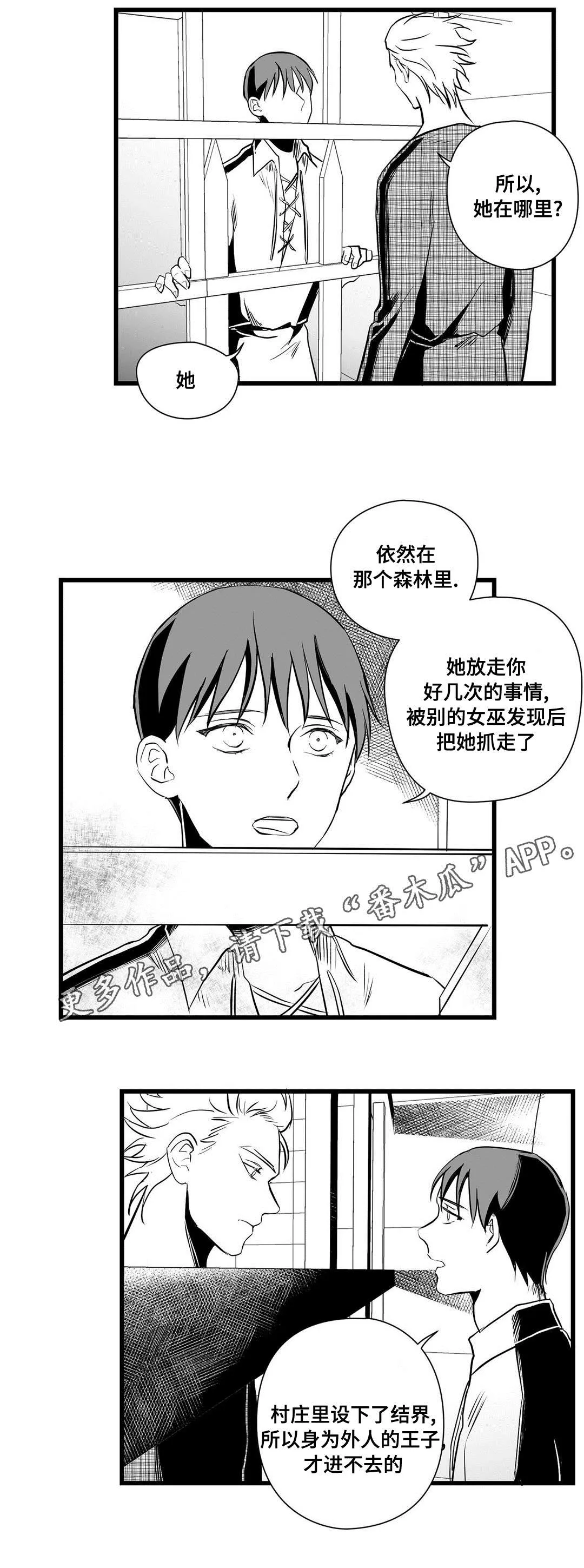 王子与巫师漫画漫画,第31章：那个女人10图