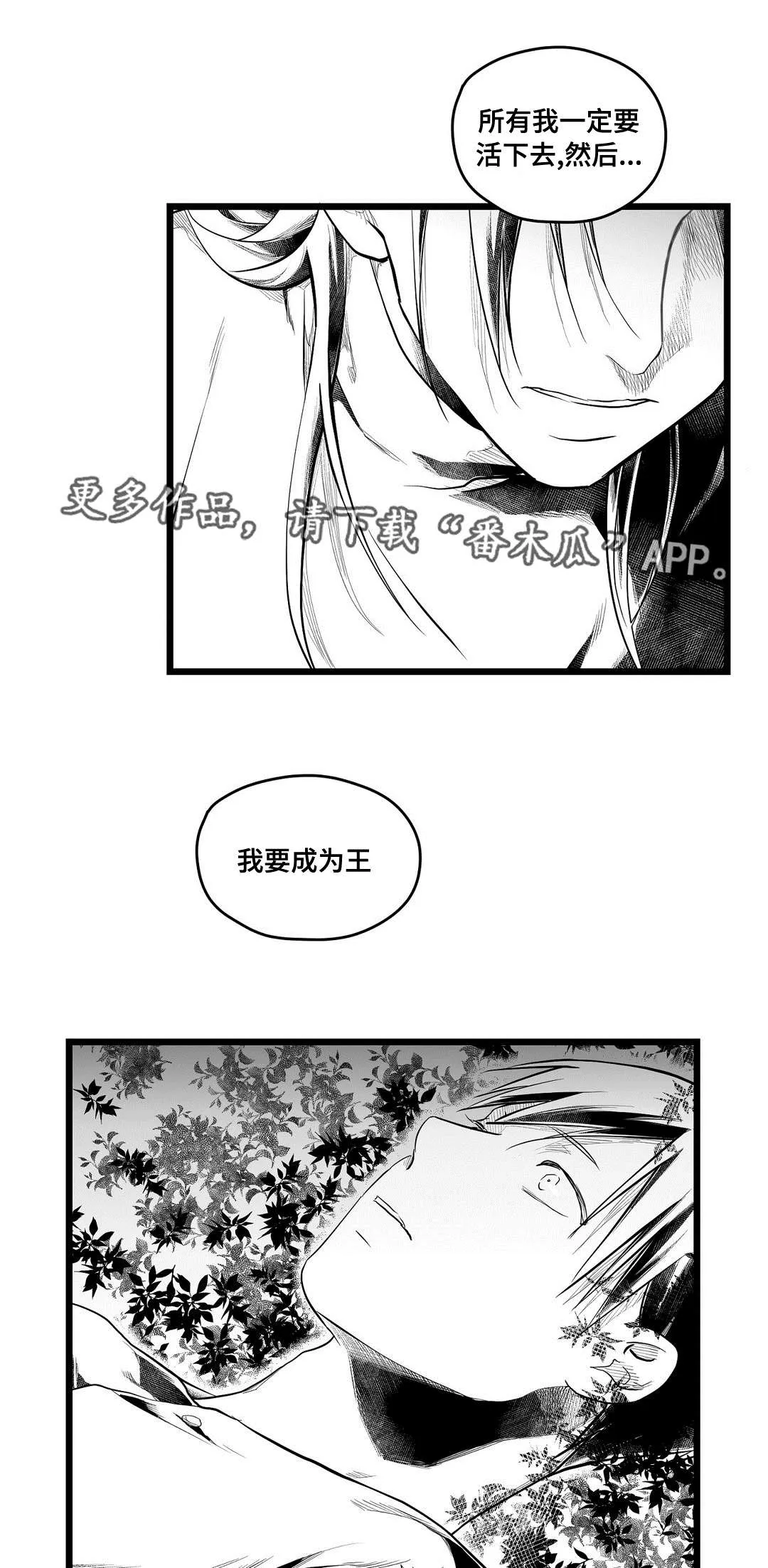 巫师与王子漫画漫画,第71章：命运10图