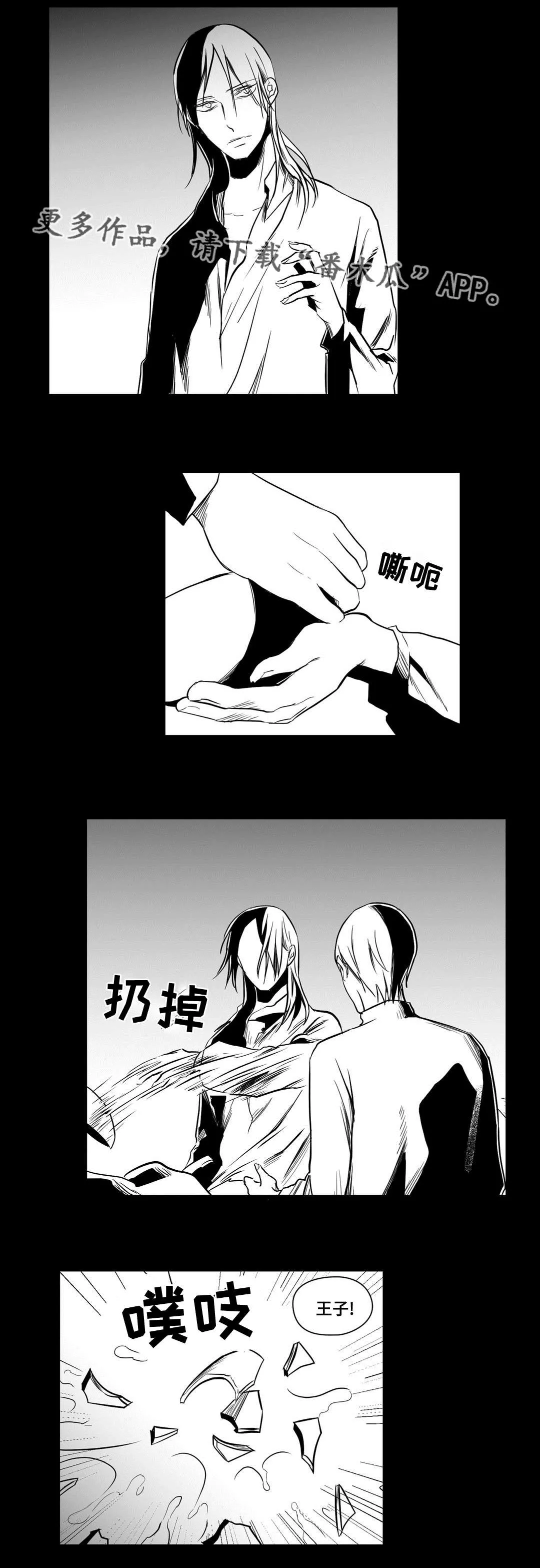 巫师与王子漫画漫画,第17章：最初11图