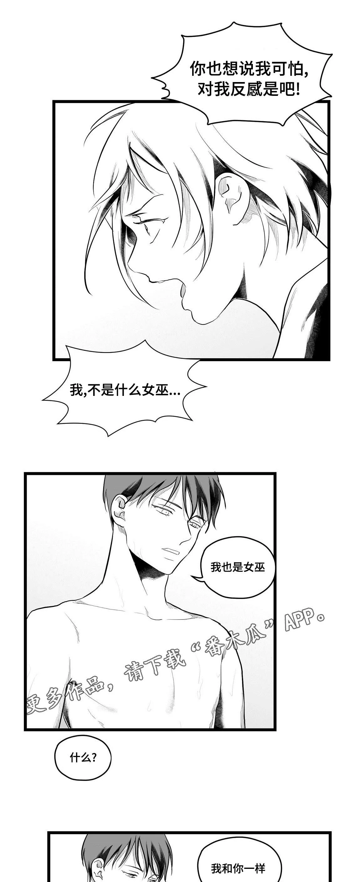 王子与巫师的二三事百度云漫画,第78章：没变7图