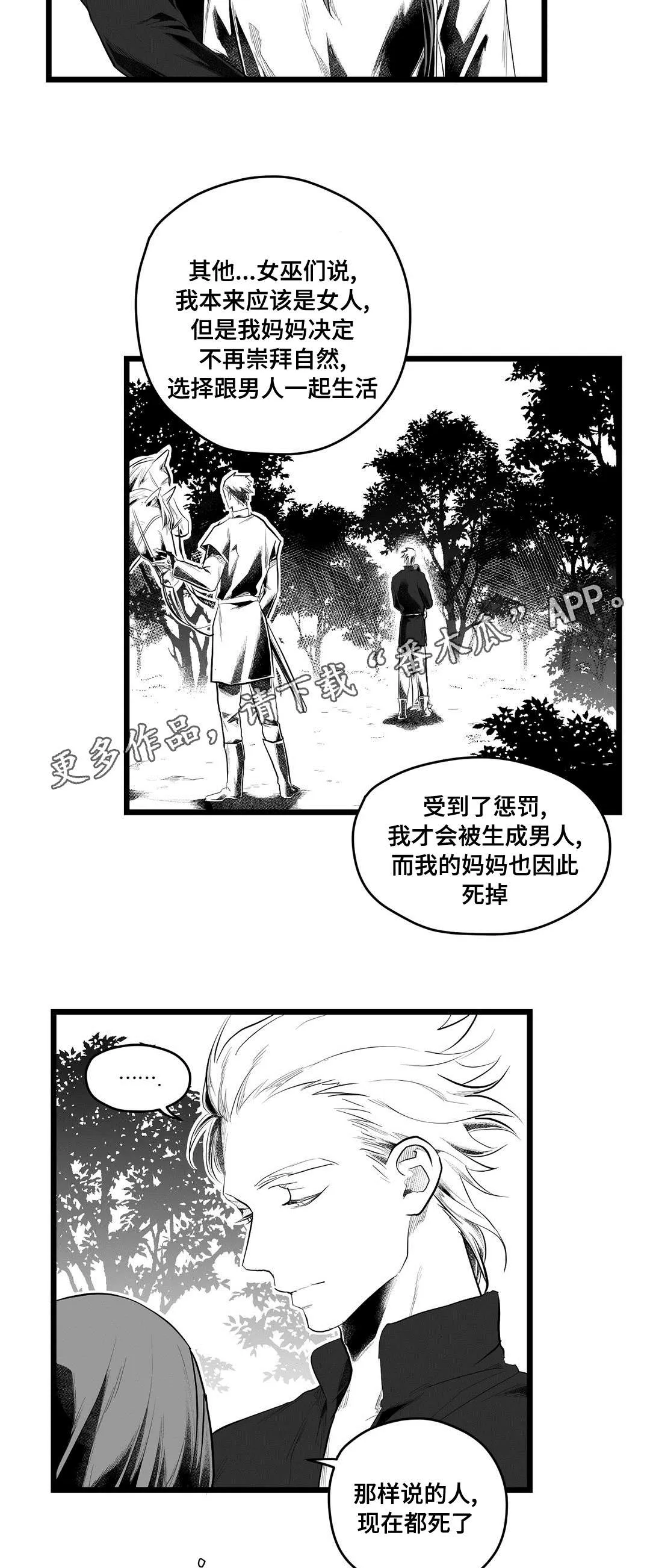 巫师与王子漫画漫画,第84章：十五10图