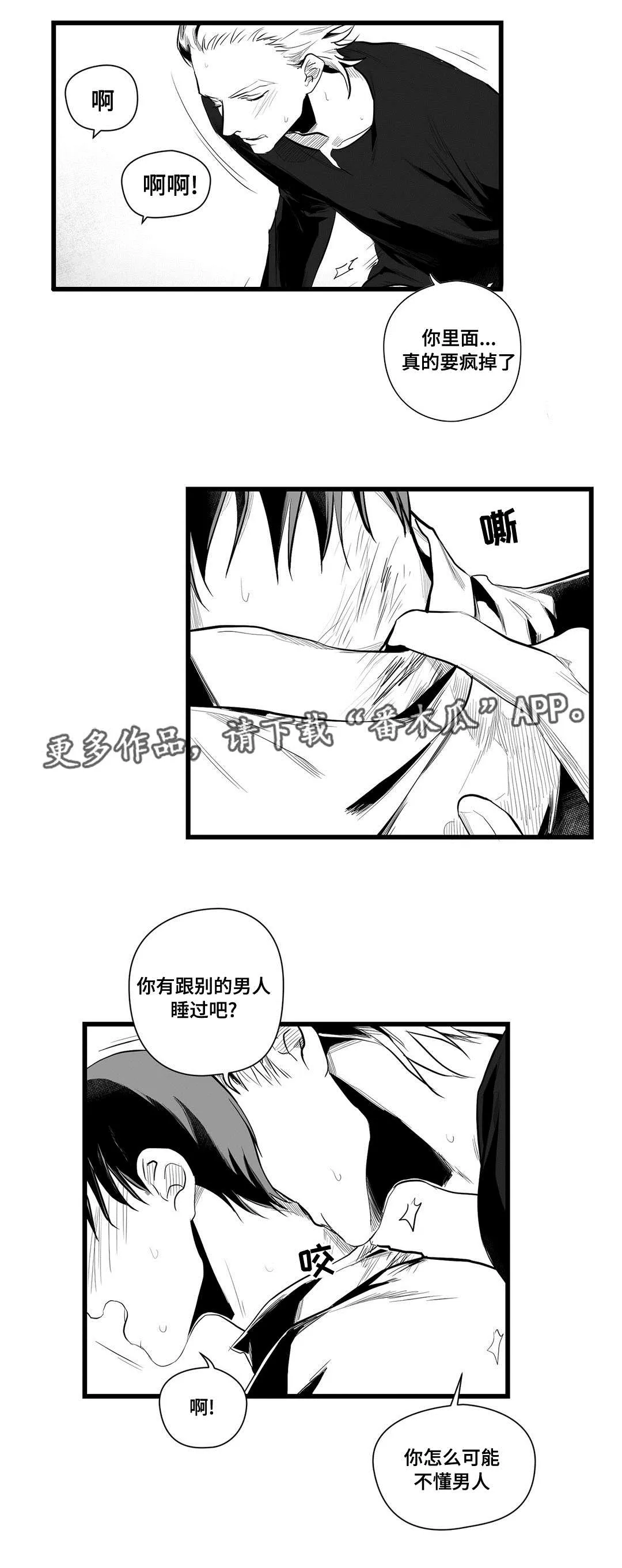 巫师与王子漫画漫画,第40章：在一起4图