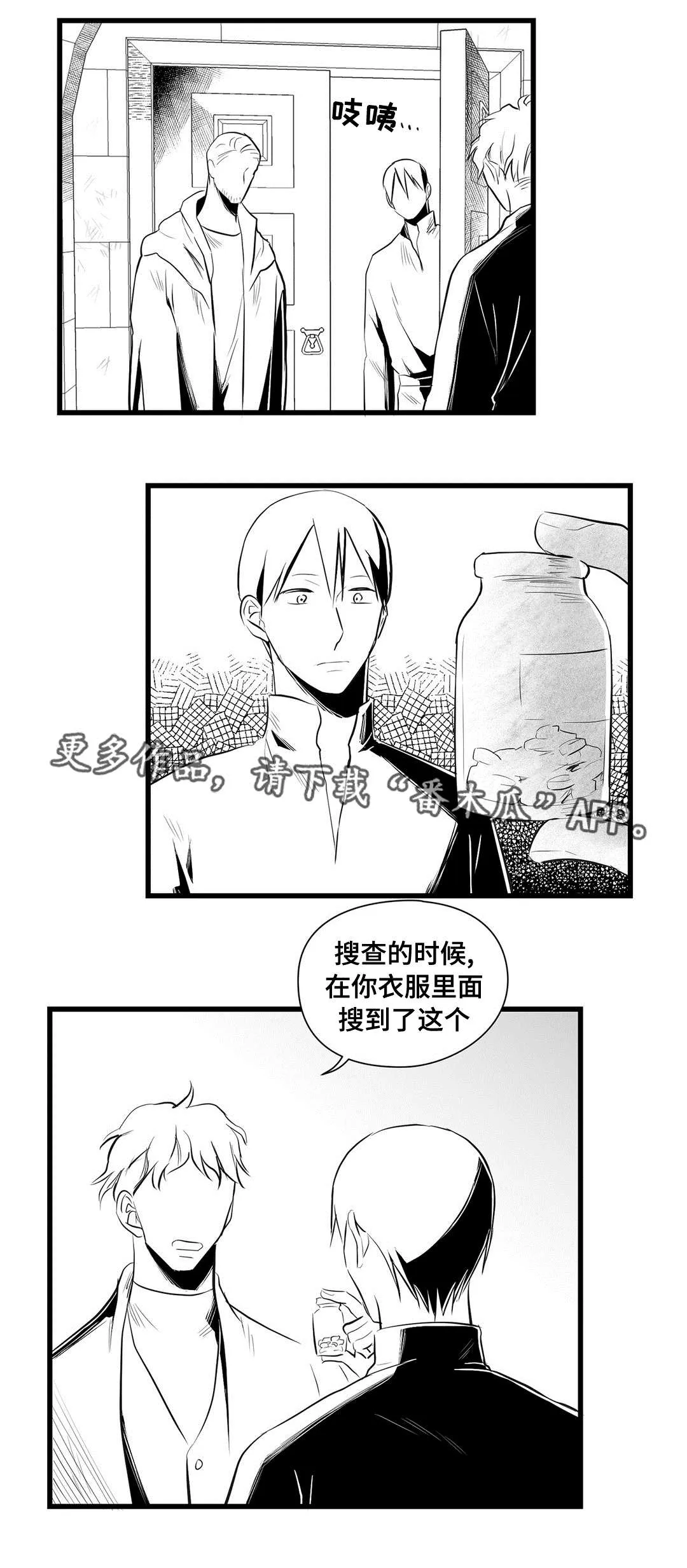 野兽公主与王子漫画漫画,第34章：下毒11图